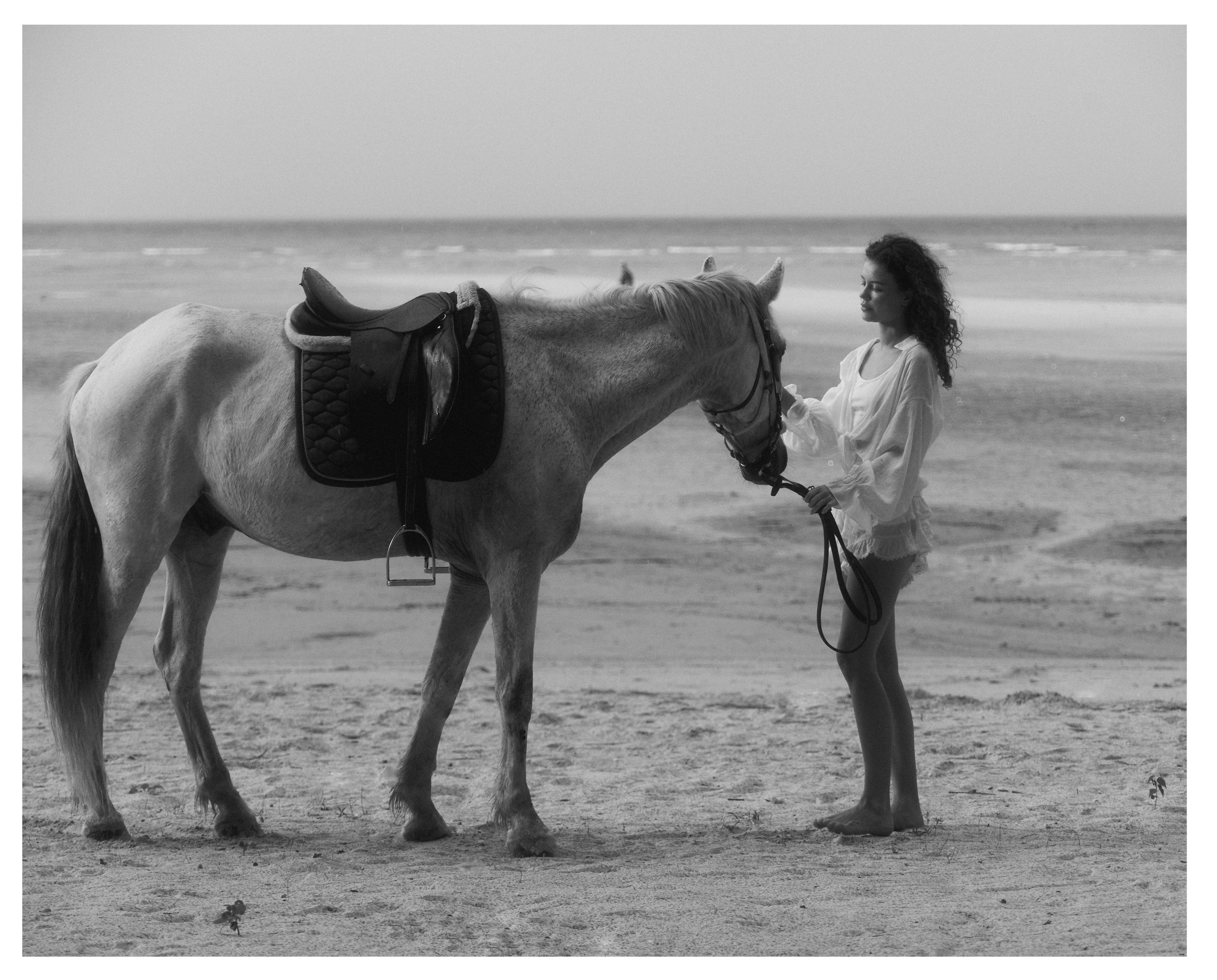 Horse. Maria Mishina Photographer Moscow, Phuket