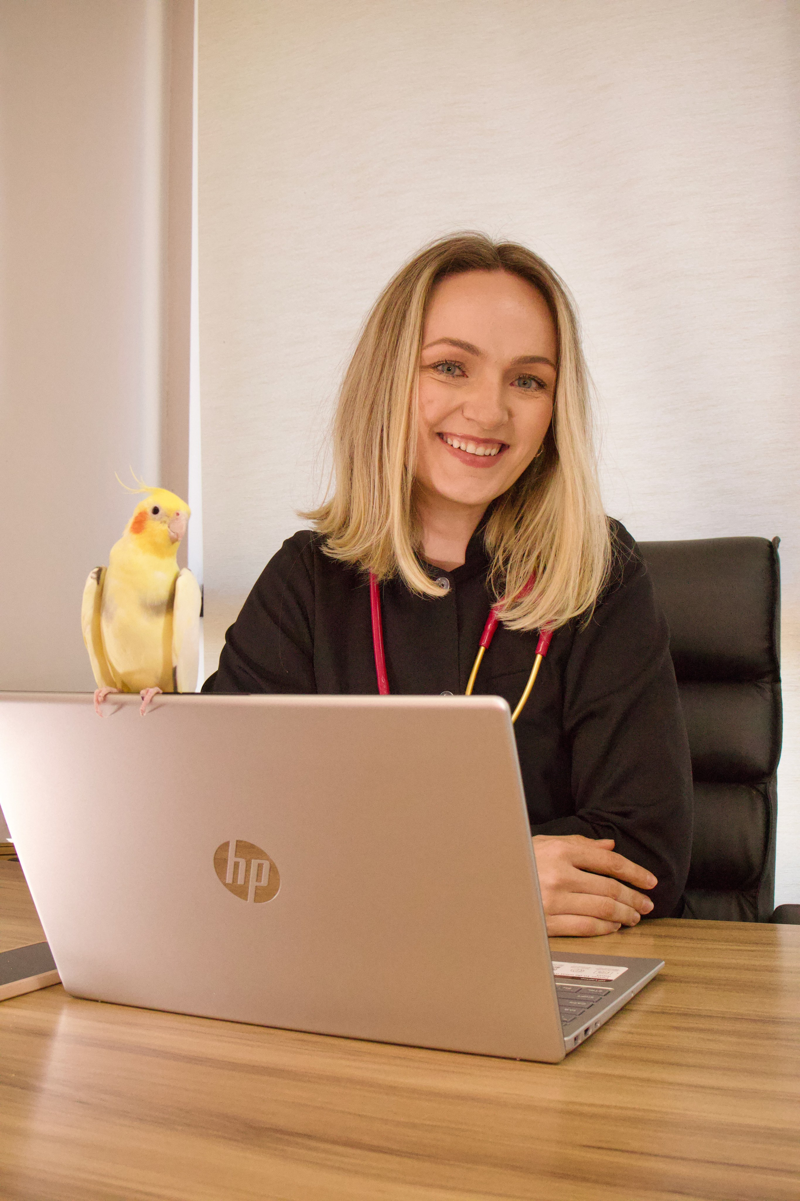 Ensaio Profissional — Veternária Amanda Werneke Tenfen. Luan Hobold Fotografia