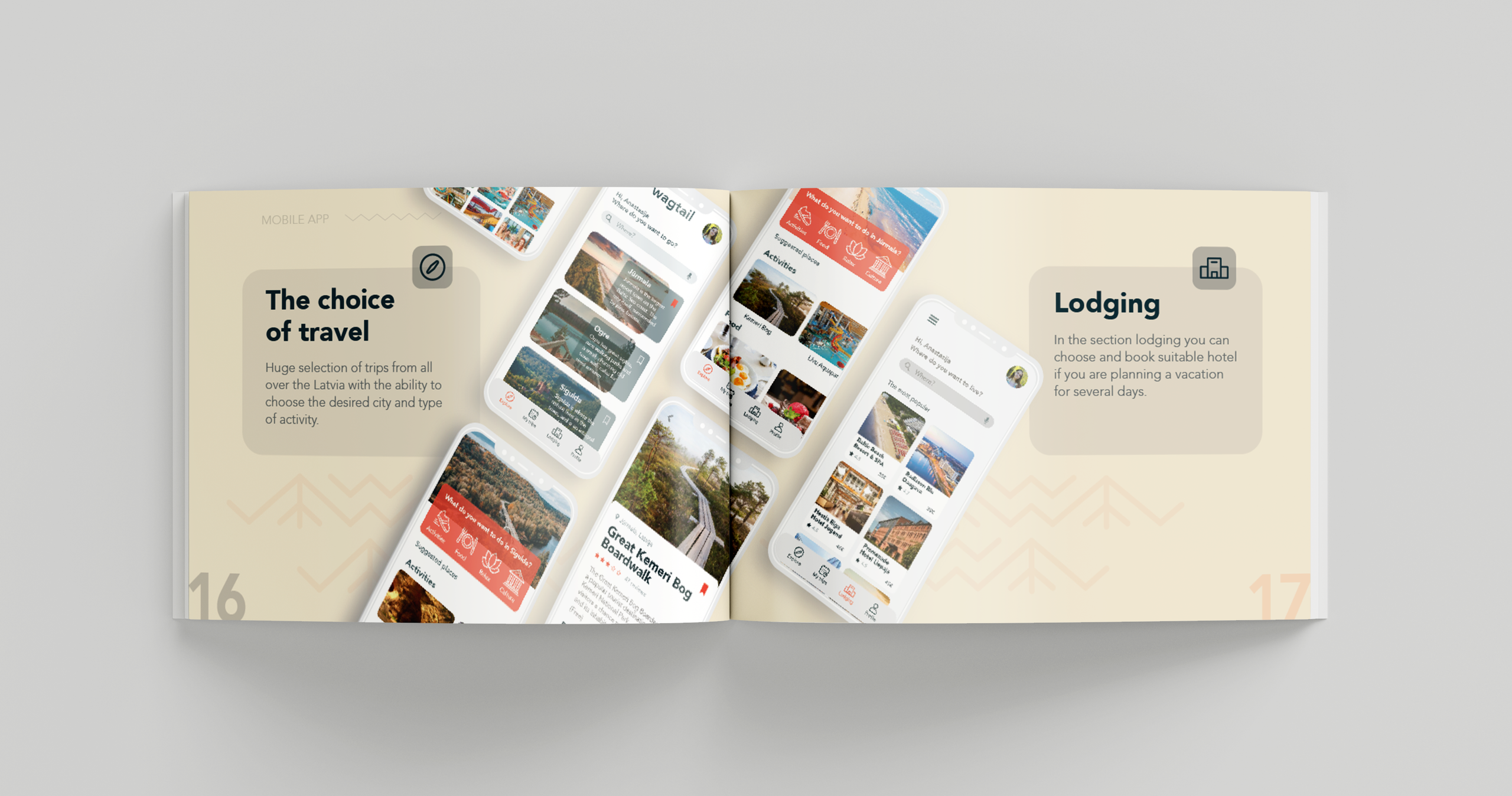 Wagtail Brand Identity & Mobile App design. ContentLab — визуальный контент для бизнеса |📍Рига