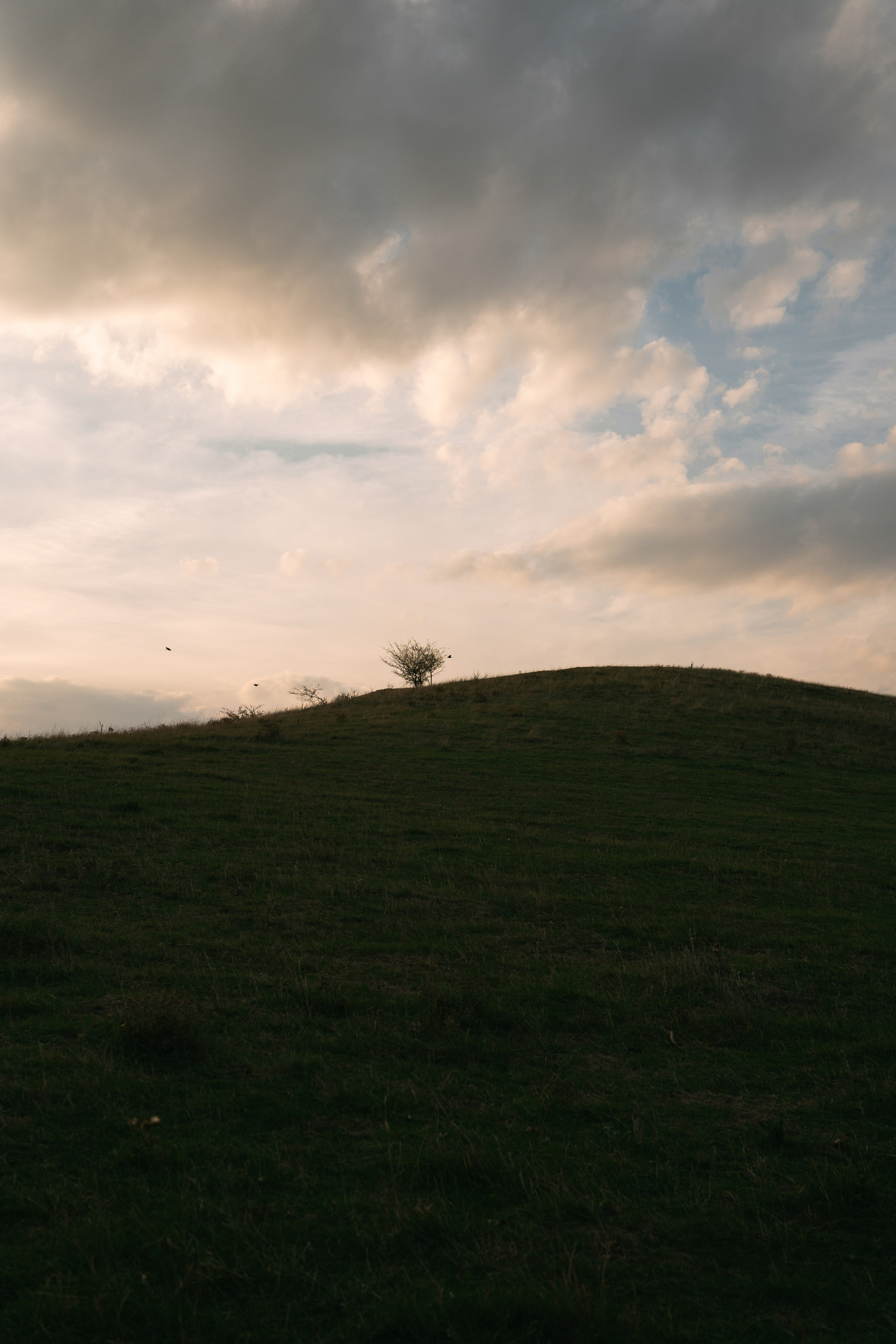 Emily and Filip’s Love Gallery. Wedding photographer and videographer based in Timisoara, Romania