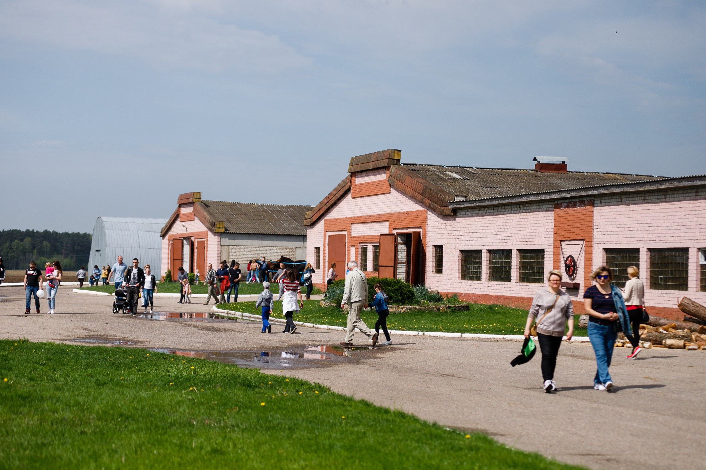Horse winter games. Kaja | fotograf we Wrocławiu | ludzie i psy