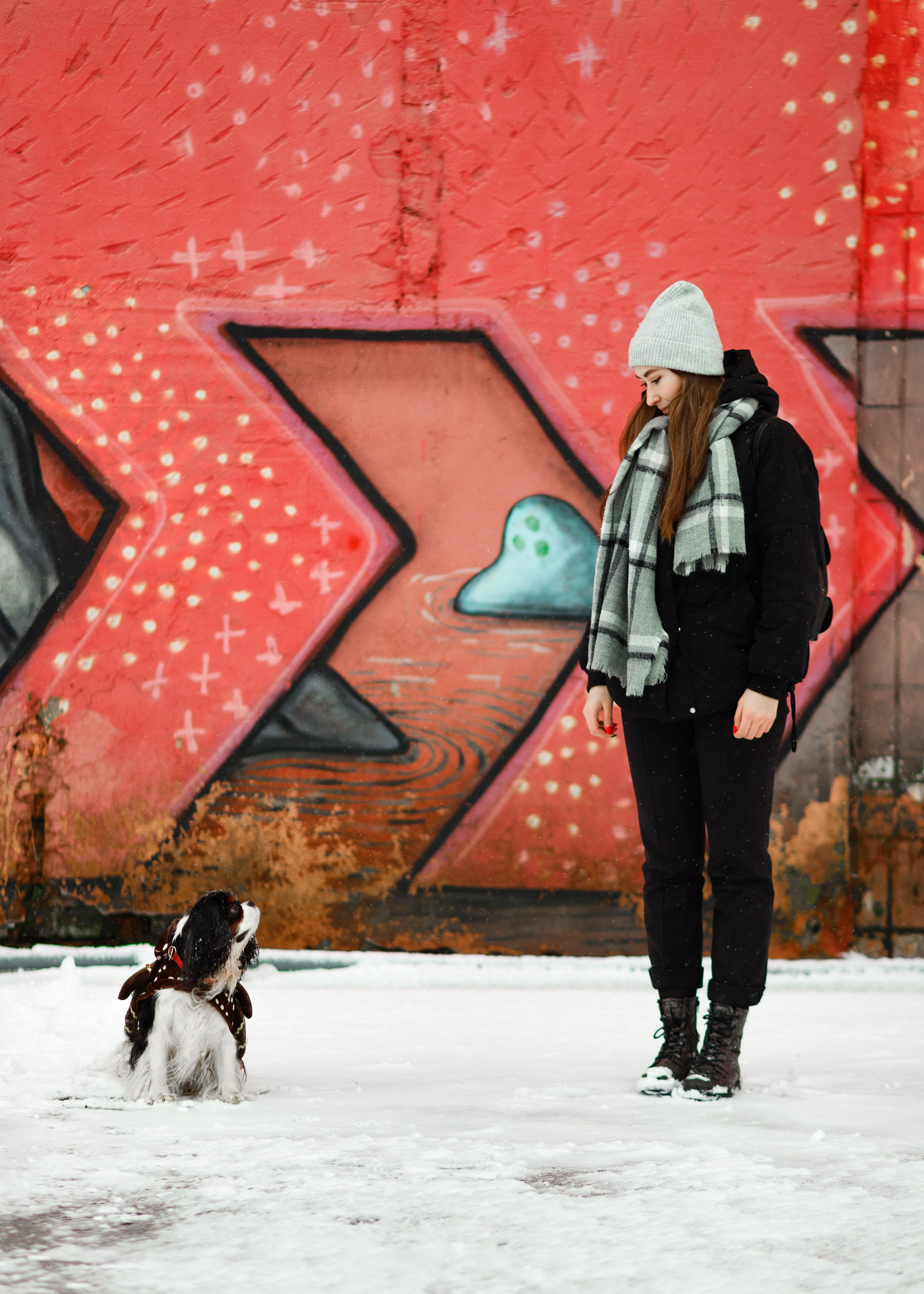 Uliana & winter spaniels. Kaja | fotograf psów we Wrocławiu