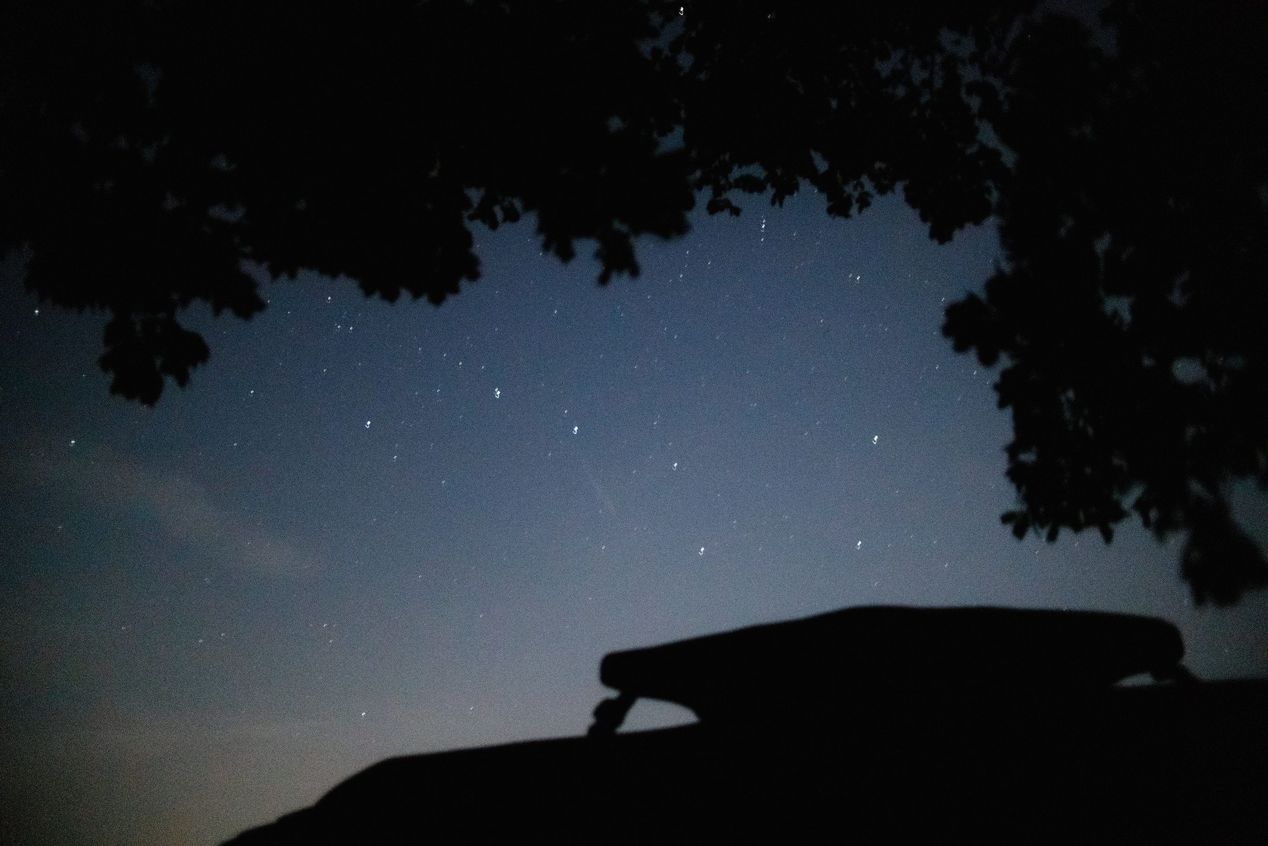 One small village in Grodno region. Kaja | fotograf we Wrocławiu | ludzie i psy