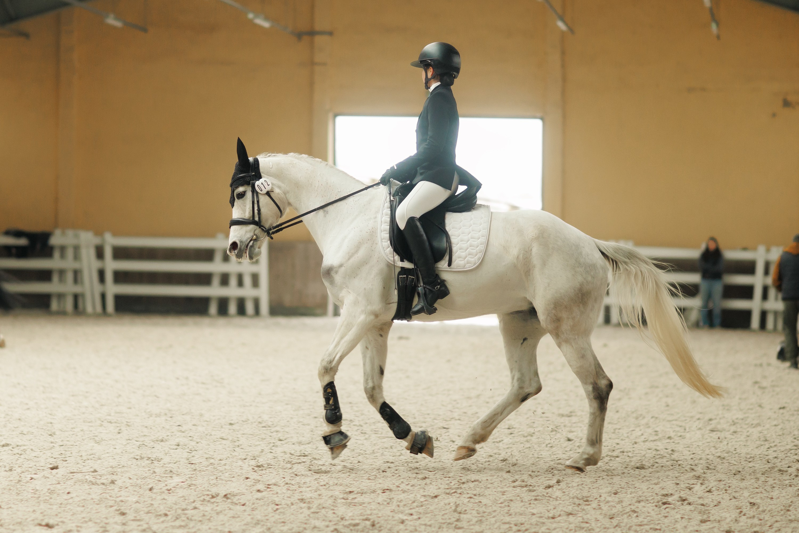 Partynice dressage \ feb'25. Kaja | fotograf we Wrocławiu | ludzie i psy