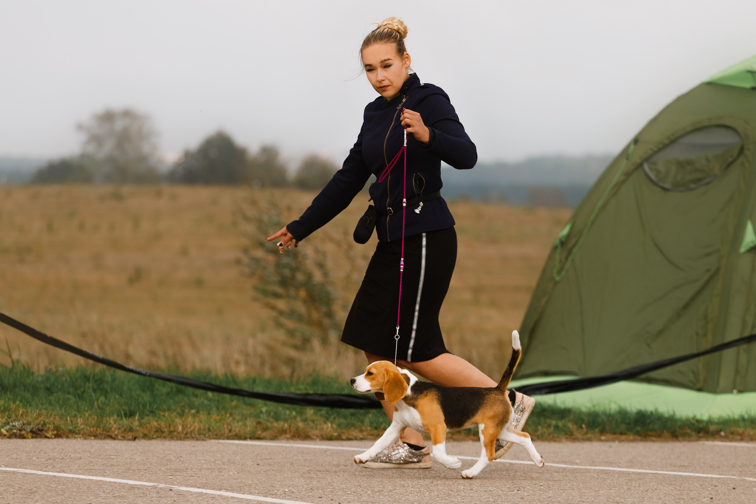 Dog shows | the best ones. Kaja | fotograf psów we Wrocławiu