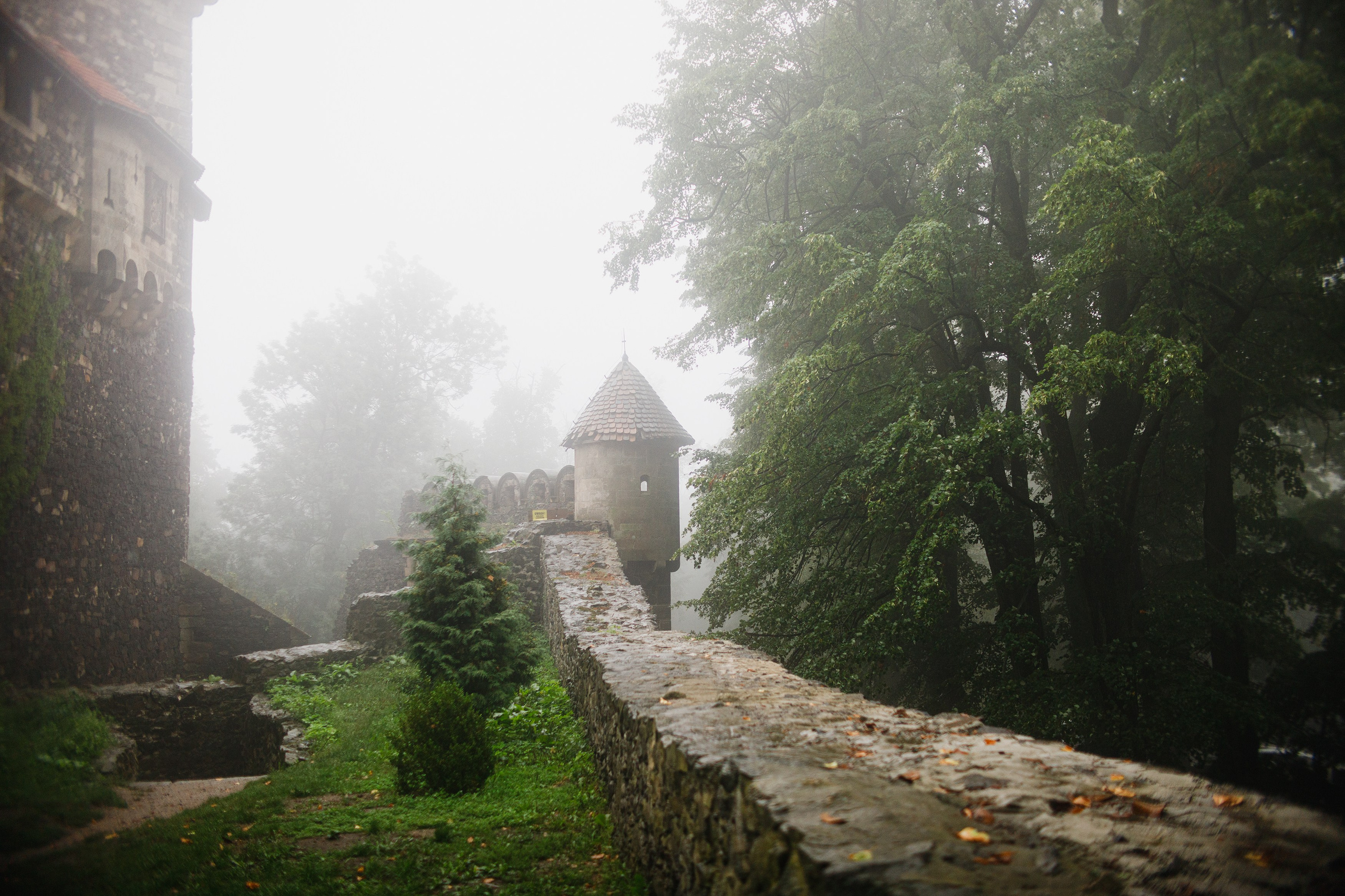 Zamek Grodziec. Kaja | fotograf psów we Wrocławiu