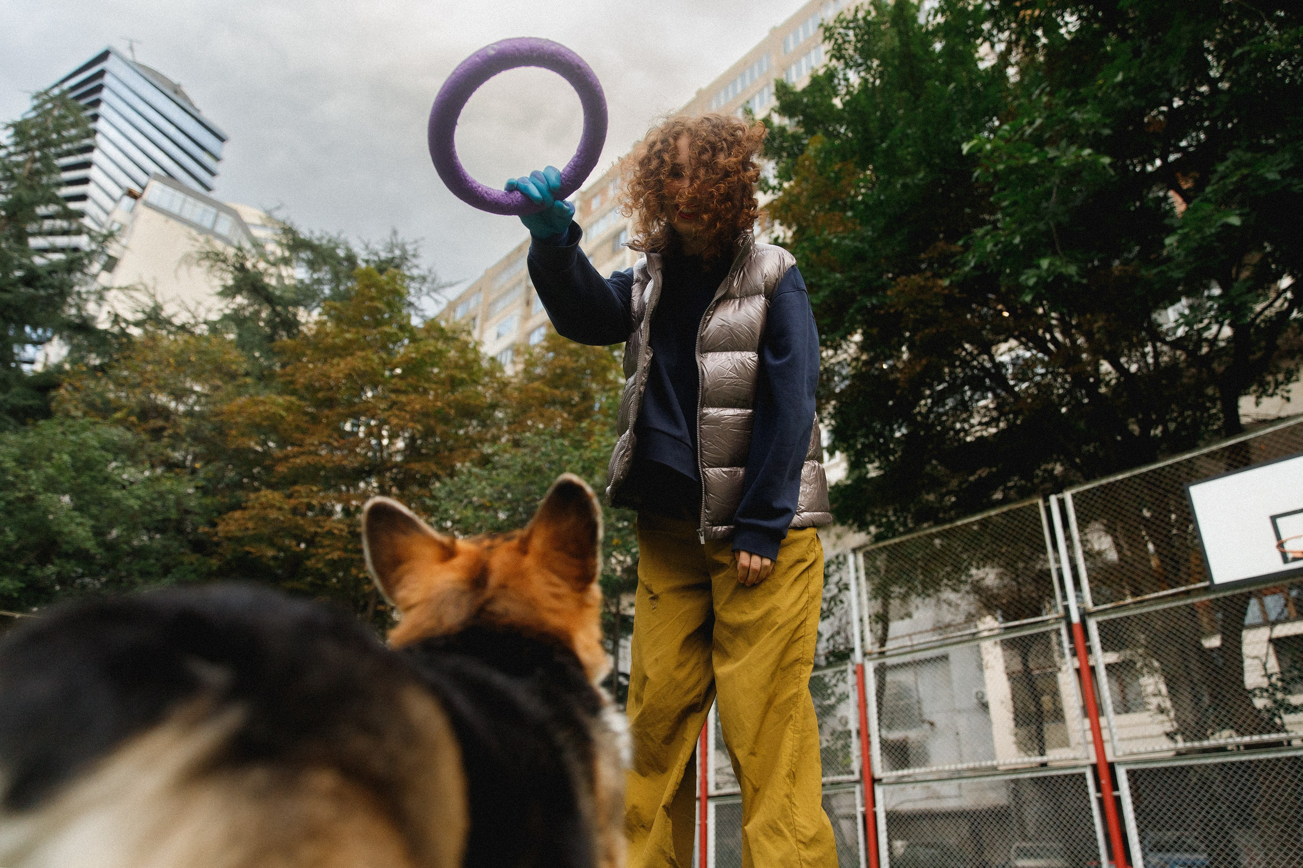 Sasha & Leonid. Kaja | fotograf psów we Wrocławiu