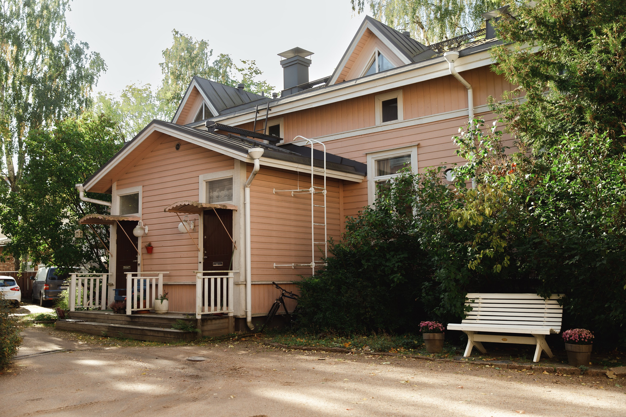 Turku. Kaja | fotograf psów we Wrocławiu