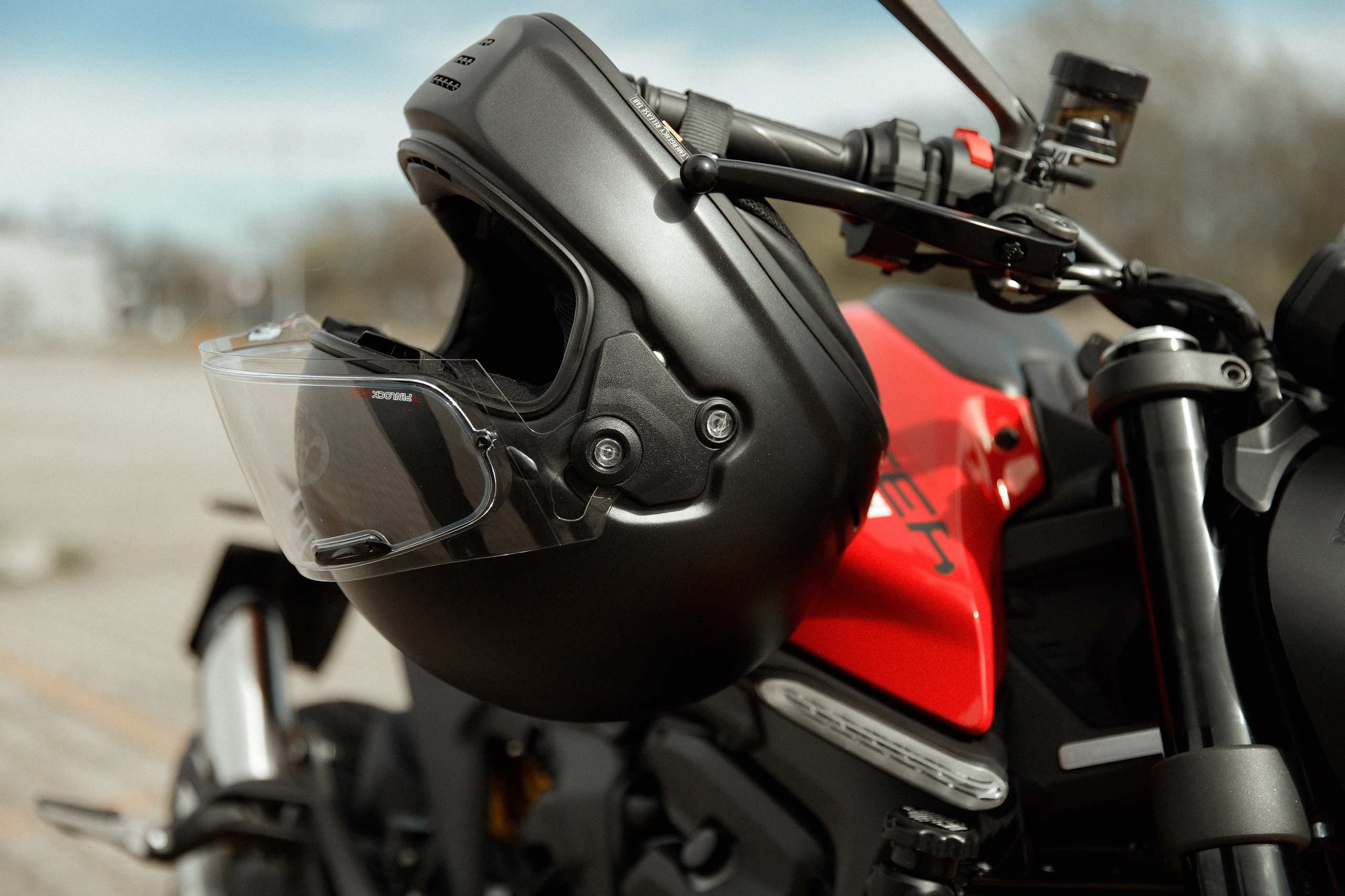 Alex. Kaja | fotograf psów we Wrocławiu