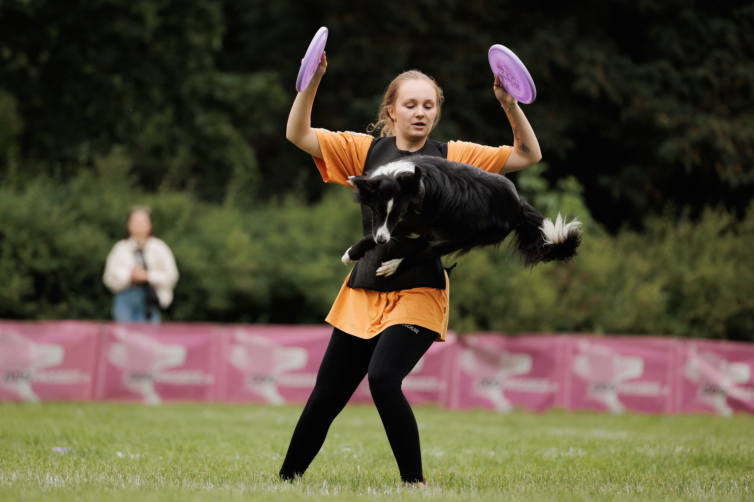 Latające psy, Wrocław'25. Kaja | fotograf psów we Wrocławiu