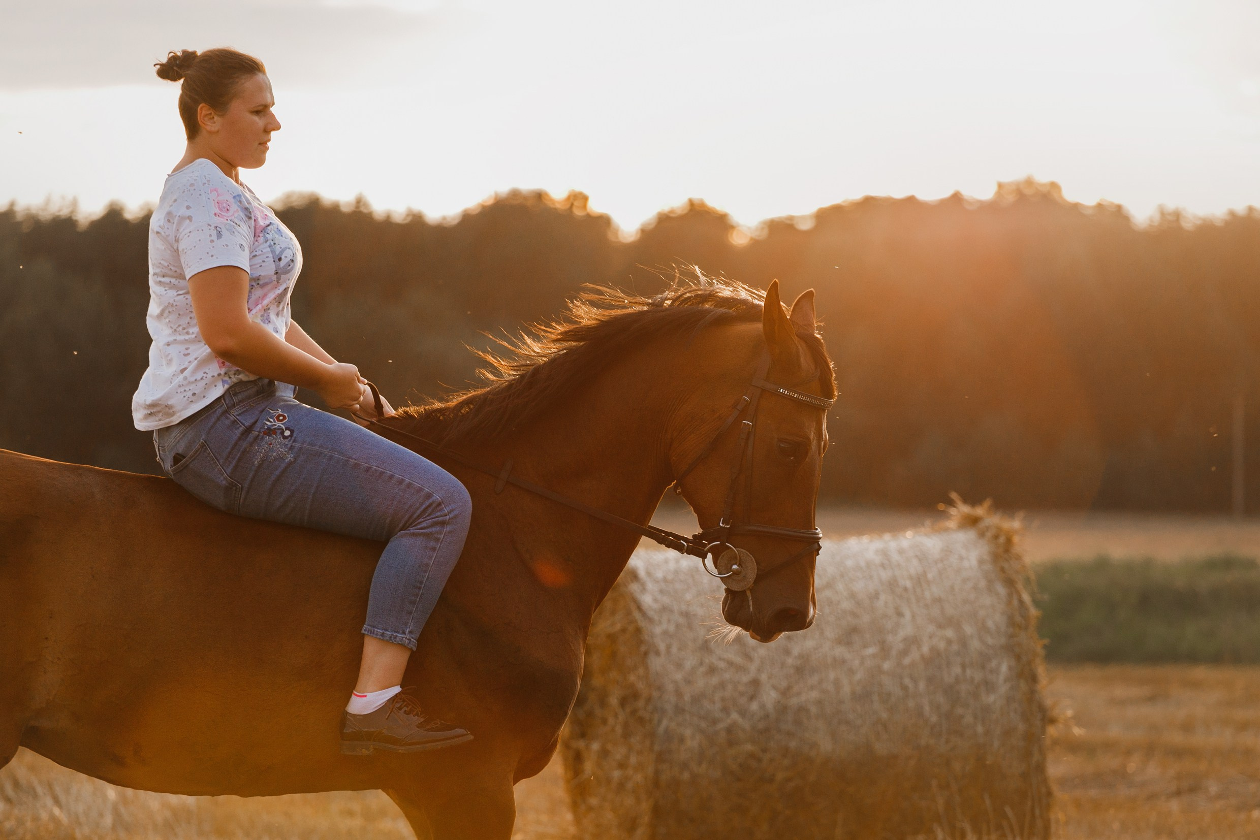 One sunset. Kaja | fotograf psów we Wrocławiu