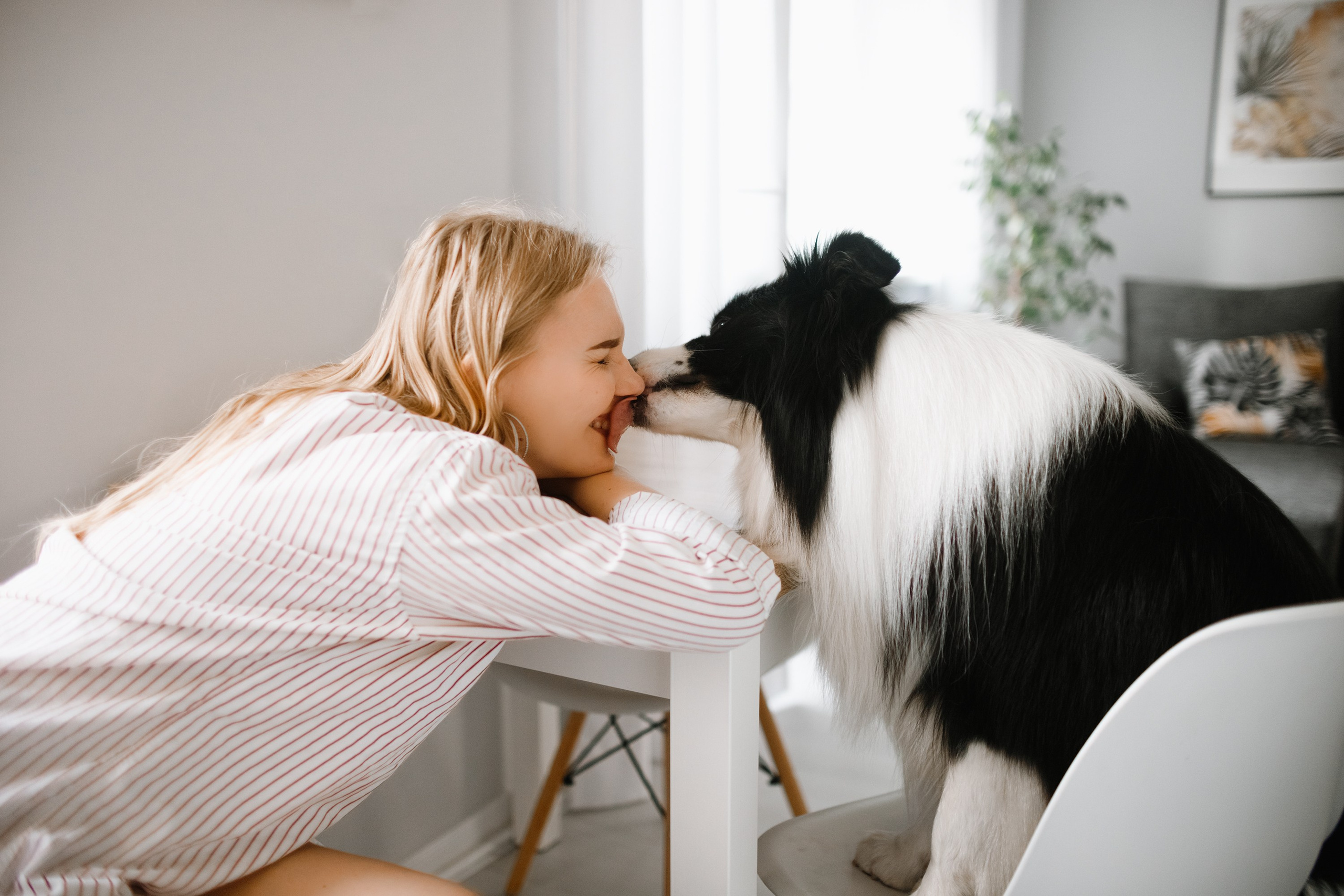 Evgenia & Richard. Kaja | fotograf we Wrocławiu | ludzie i psy