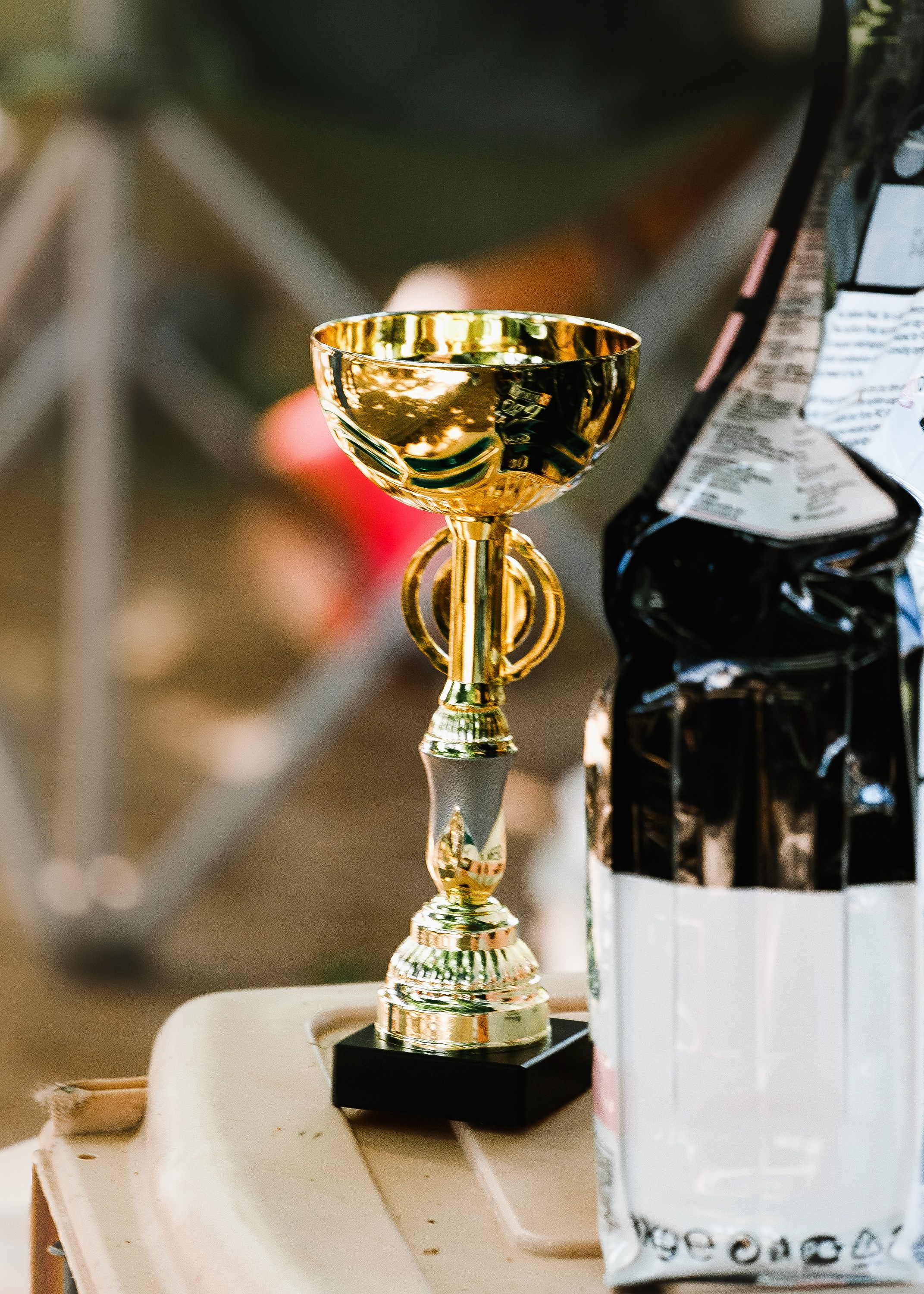 Dog shows | the best ones. Kaja | fotograf psów we Wrocławiu