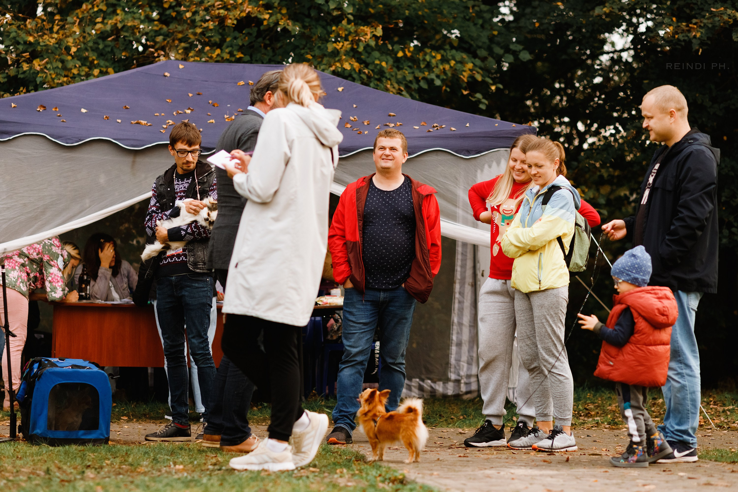 «Argus» dog show in Brest. Kaja | fotograf we Wrocławiu | ludzie i psy