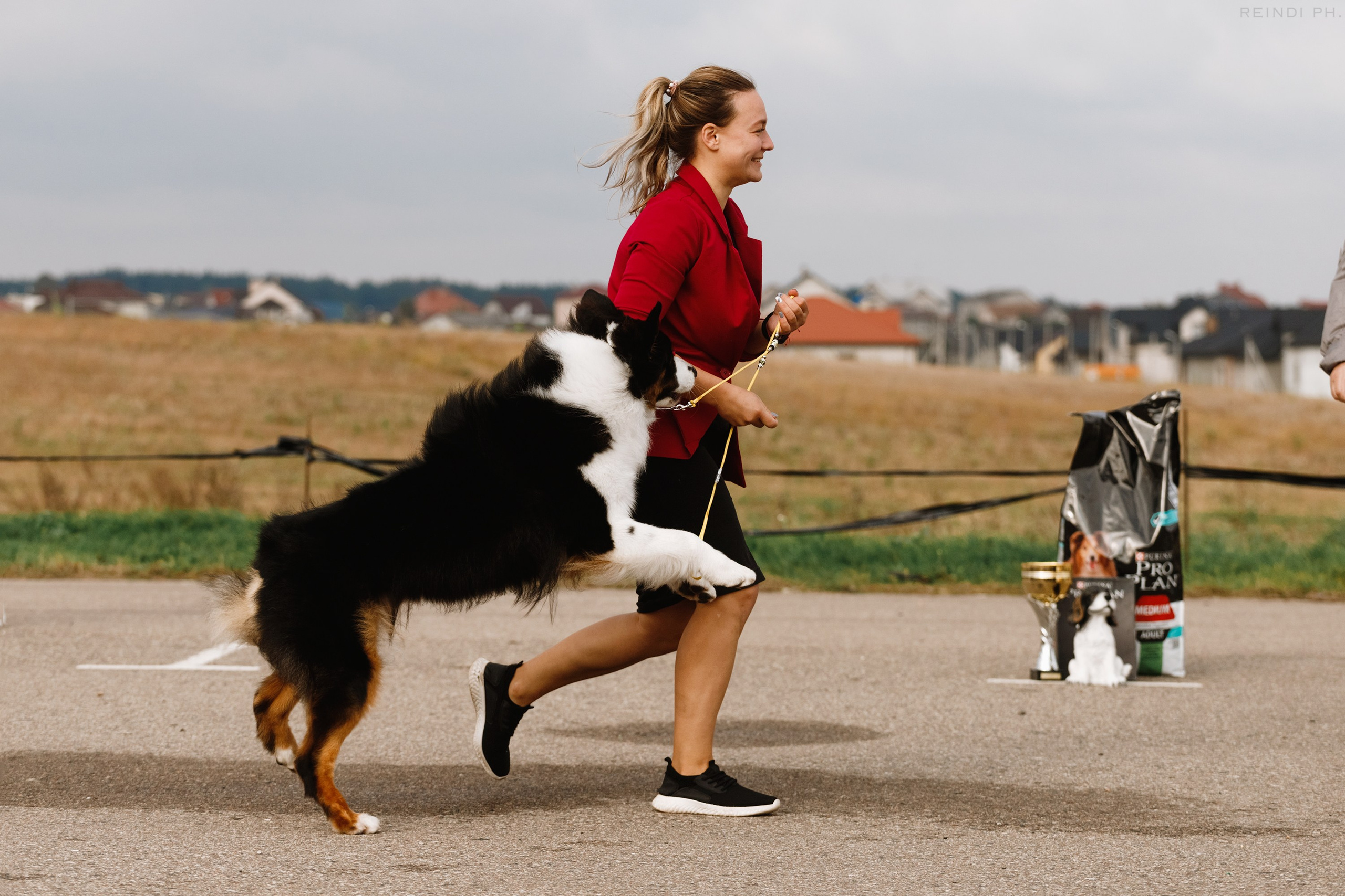 Rainy dog show in Grodno. Kaja | fotograf we Wrocławiu | ludzie i psy