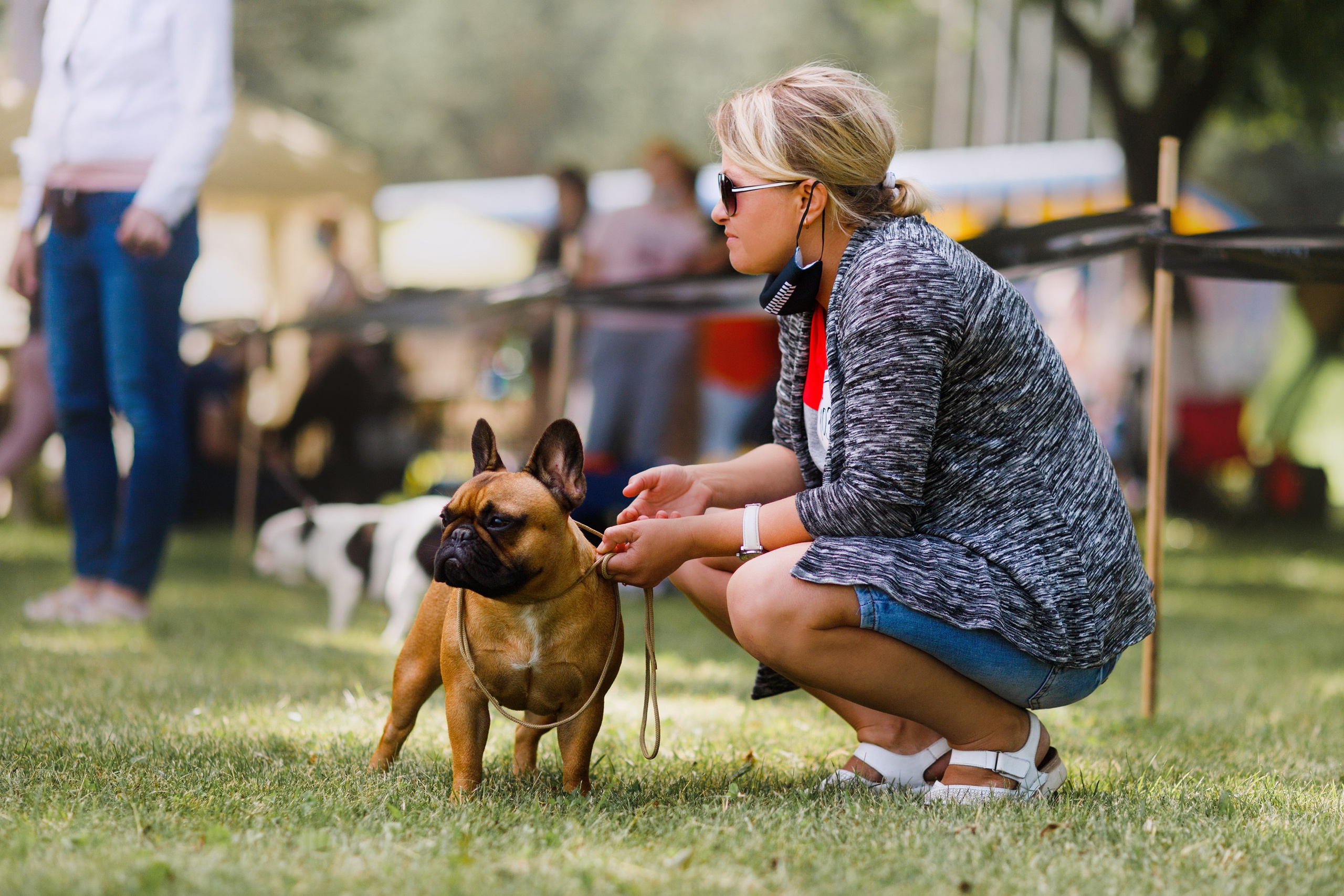 Dog shows | the best ones. Kaja | fotograf psów we Wrocławiu