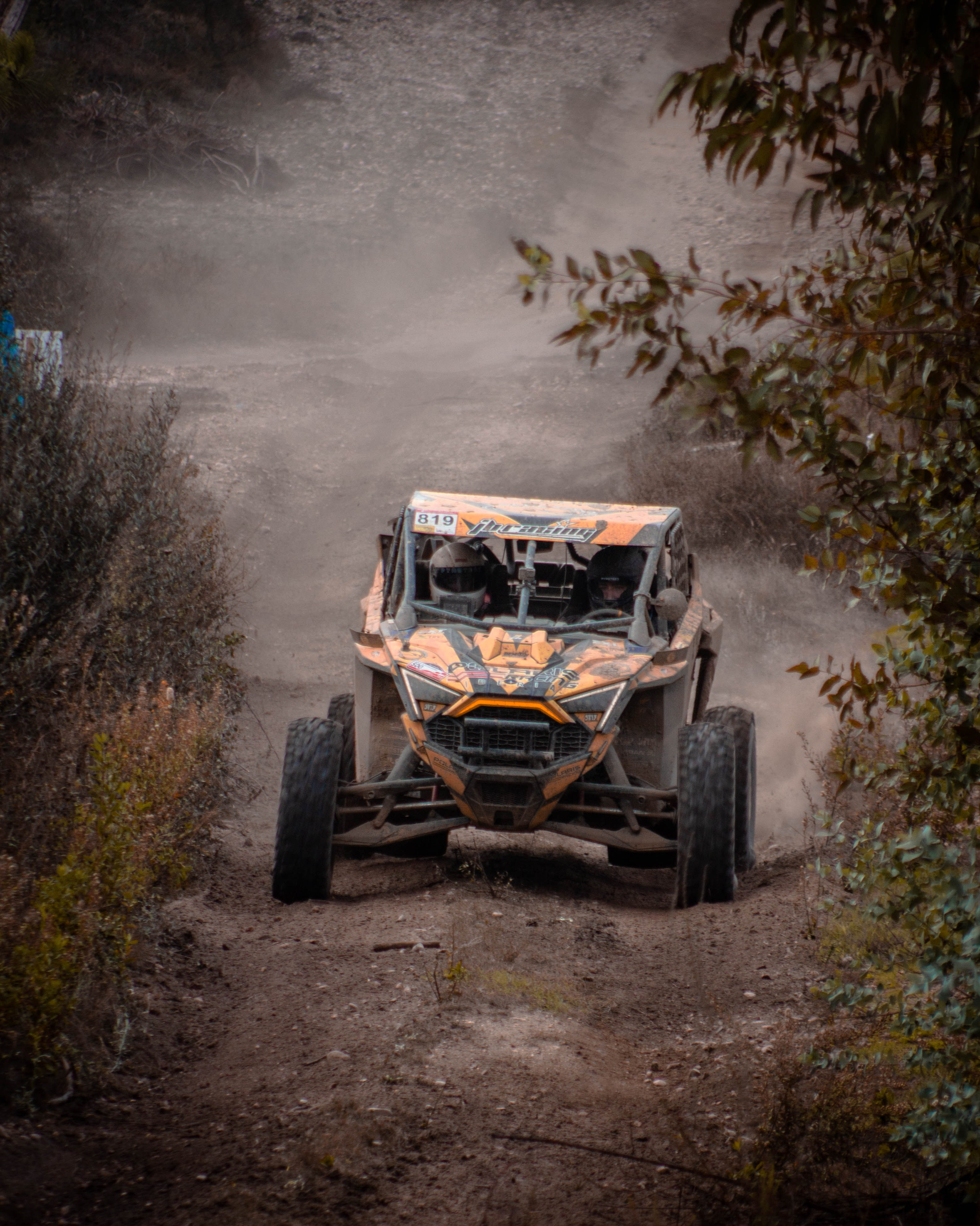 #819 Tiago Guerreiro / Carlos Paulino