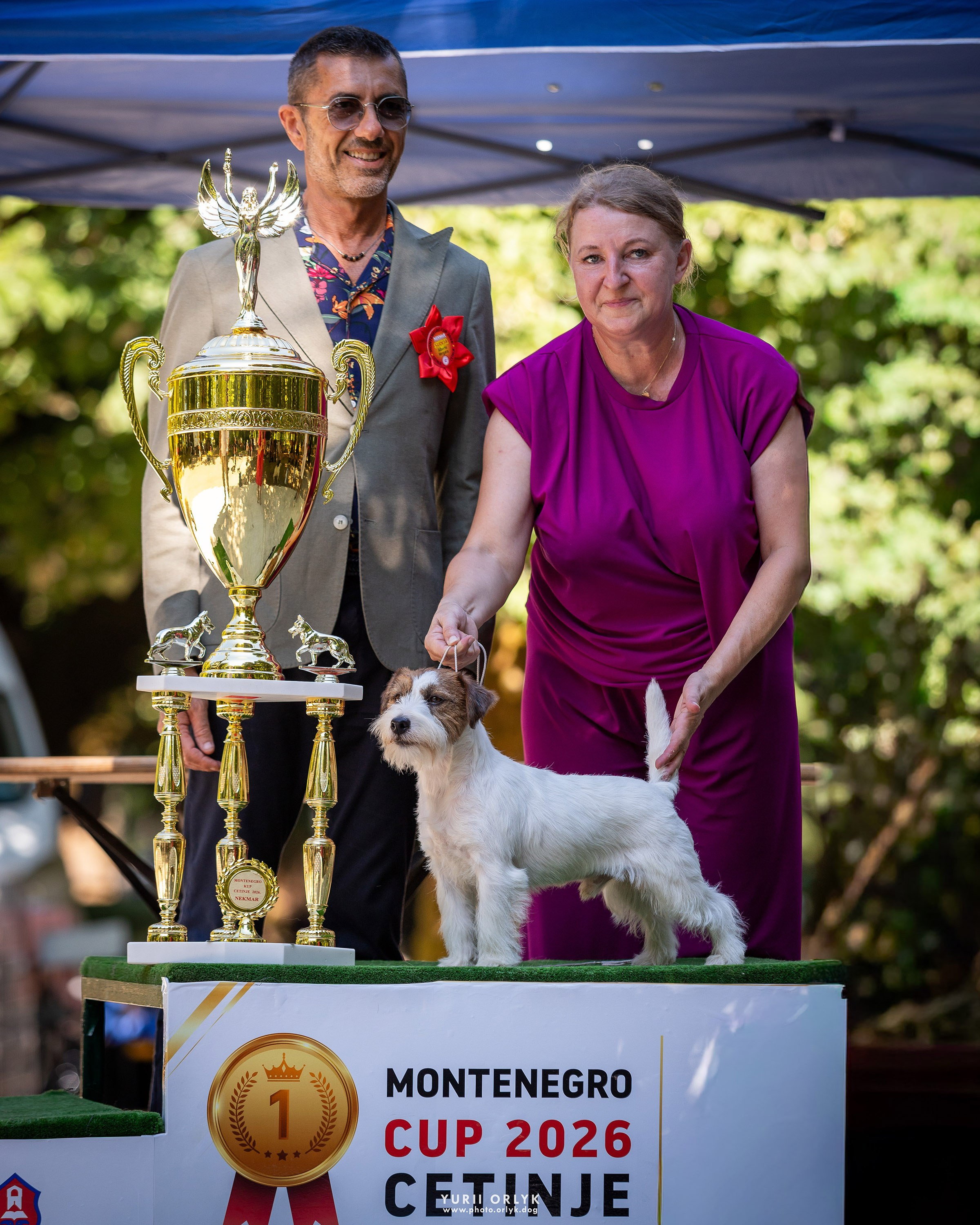 Dog Shows. Yurii Orlyk Photography