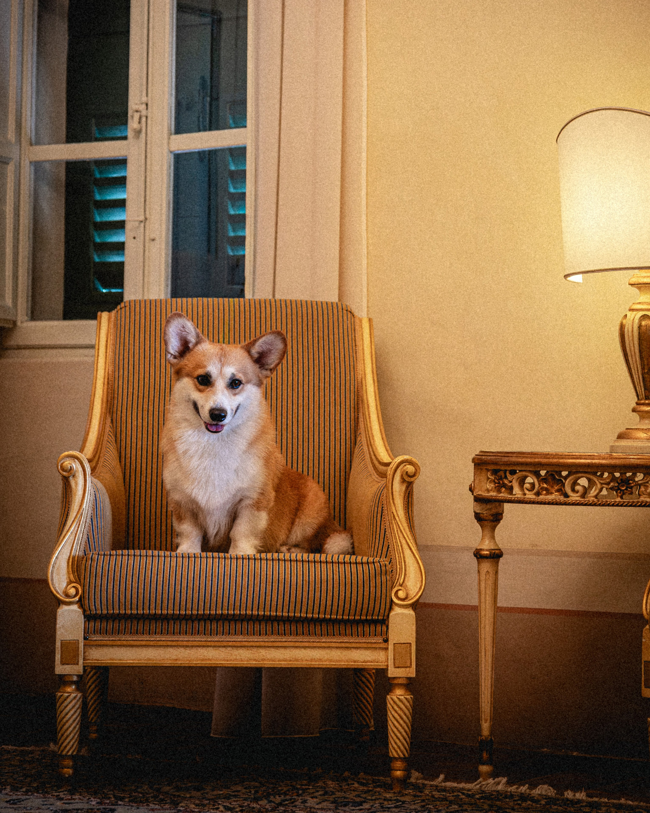 Yurii Orlyk Photography