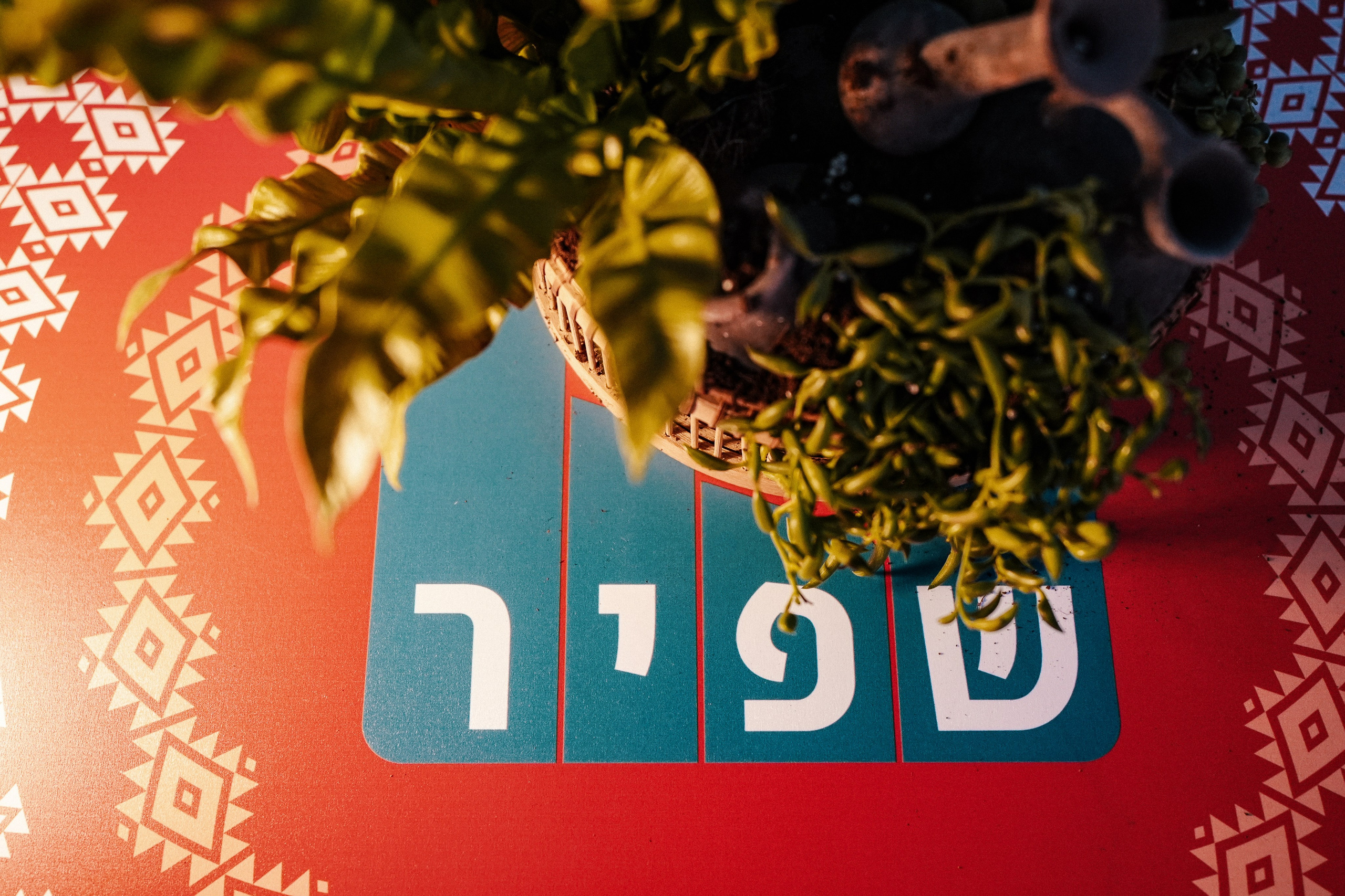 Business. Dmitry Gorodetsky Event Photographer