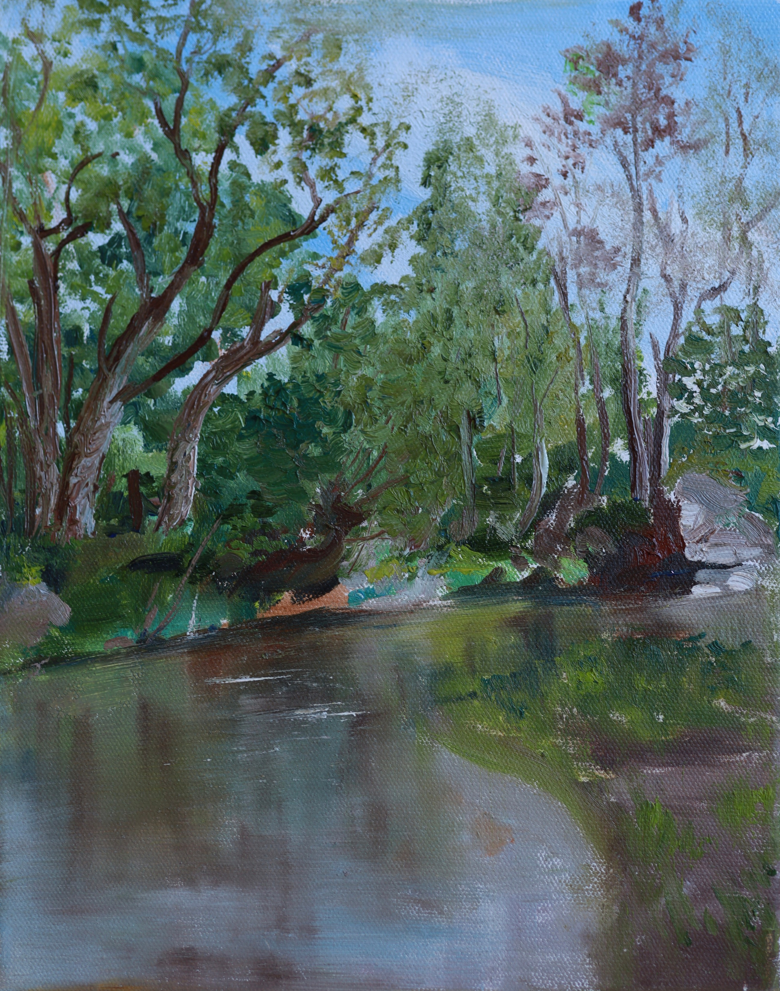 ВЕСЕННИЙ ЭТЮД НА РЕКЕ