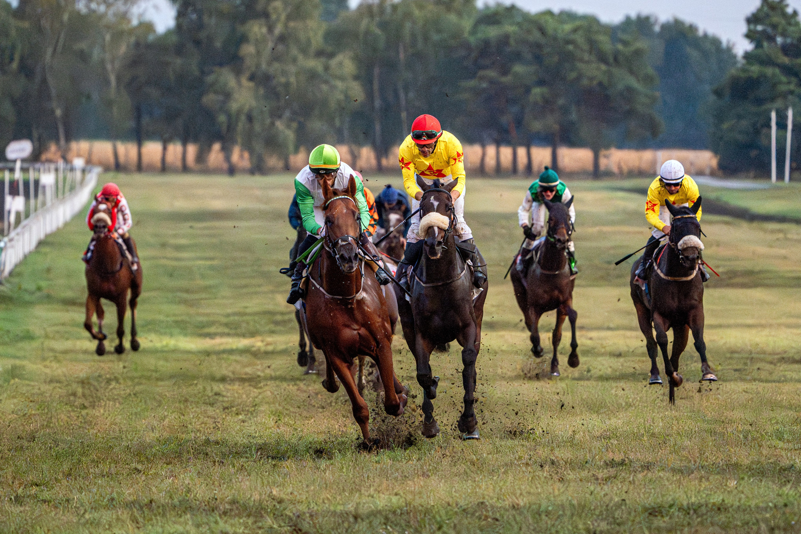 Sport. Wedding photography