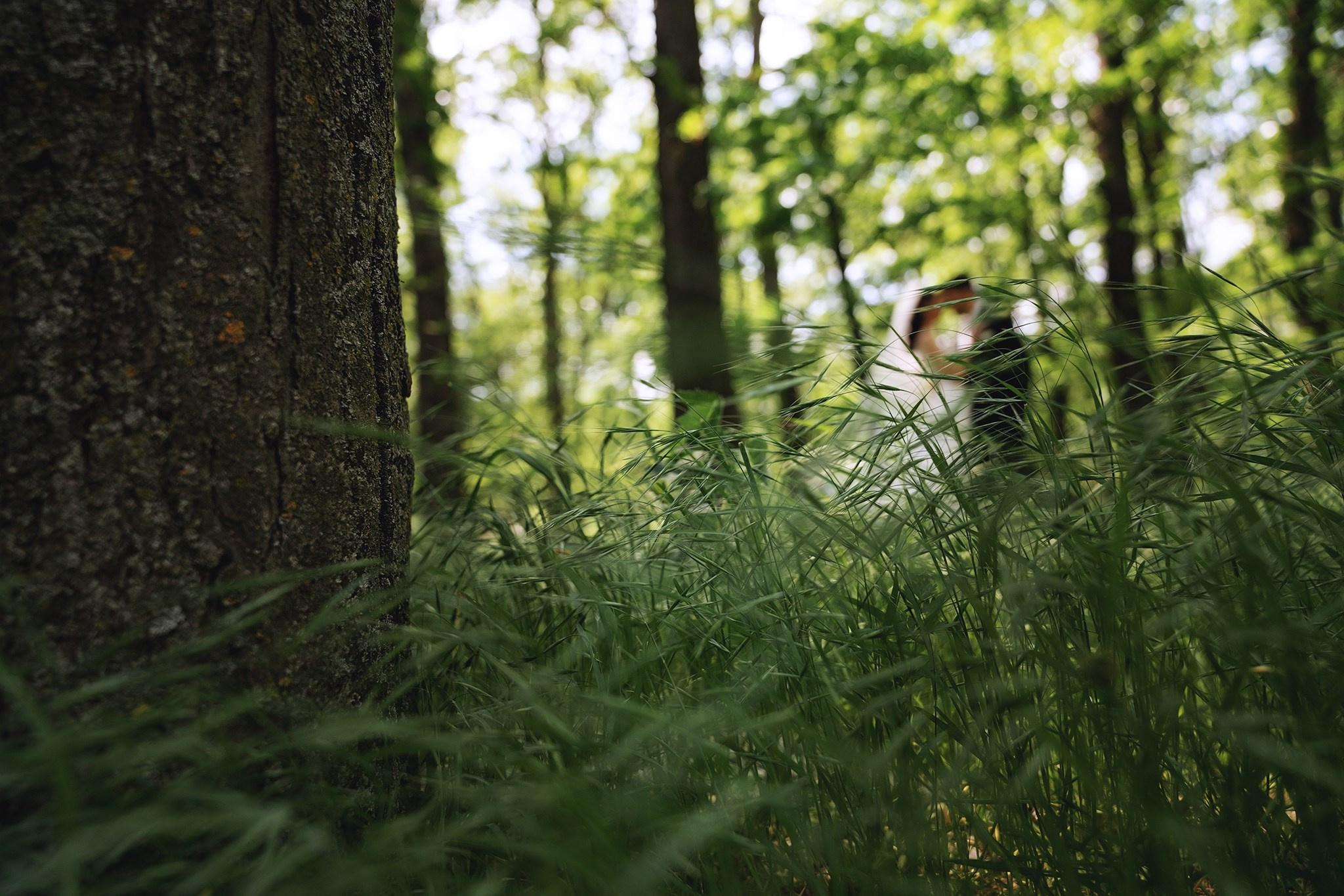 Irina & Mihai. Fotograf evenimente. Fotograf nunta. Fotograf Botez. Mihaela Savu
