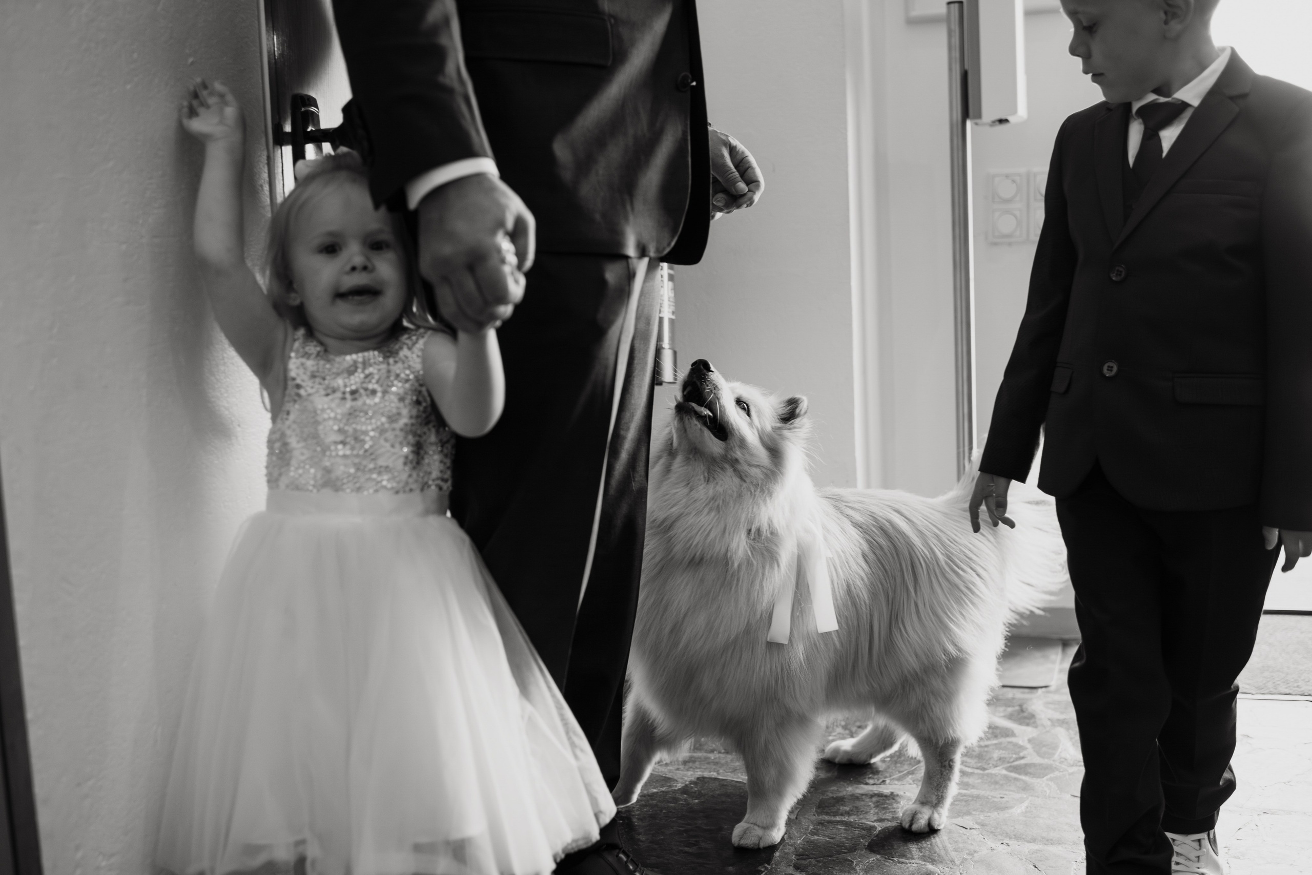 Maria and Matt. Michalina Dzianach Wedding Photographer Iceland