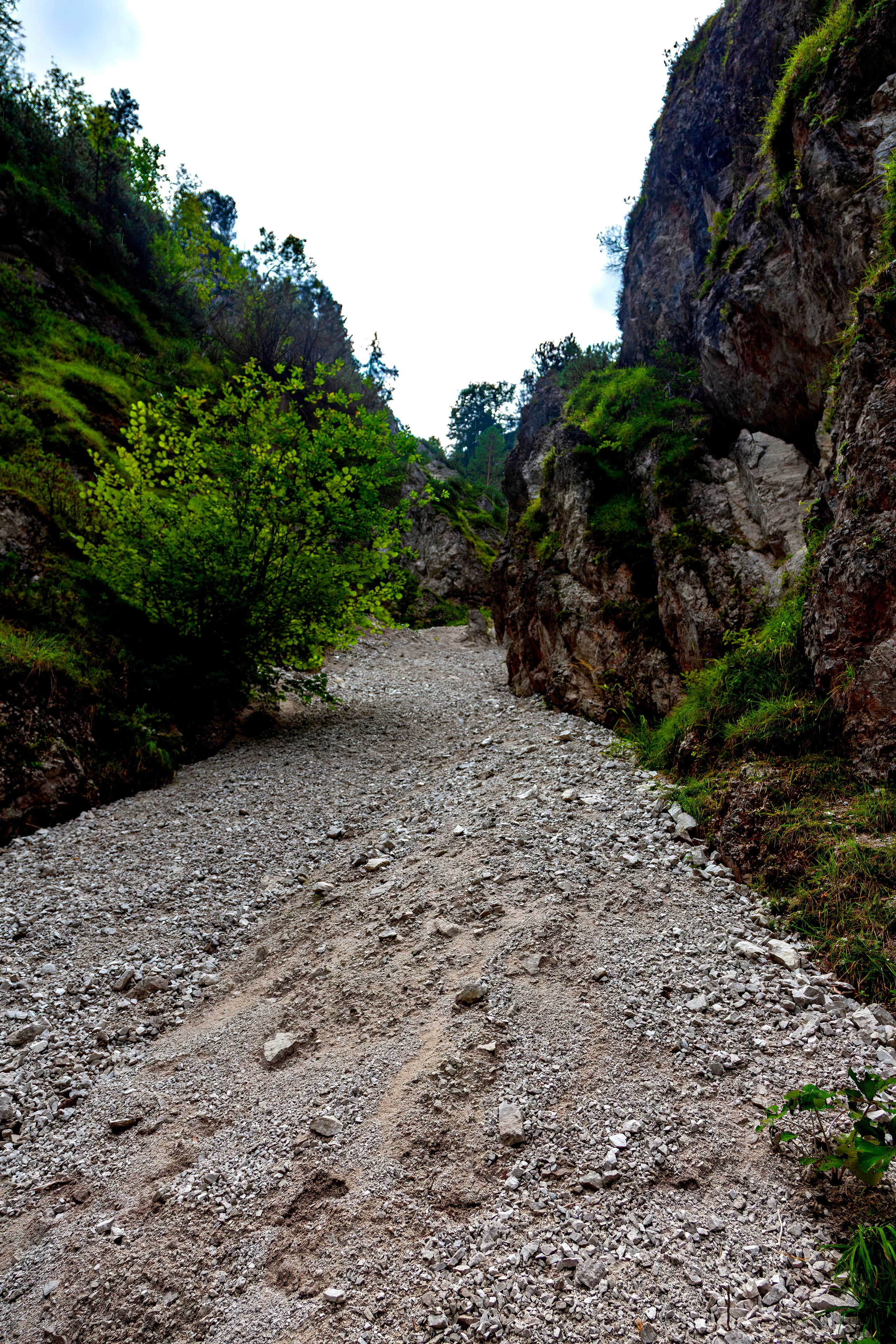 197.Ötscher Base Nature Park.Austria.21.8.2025. Путешествия в формате 360......