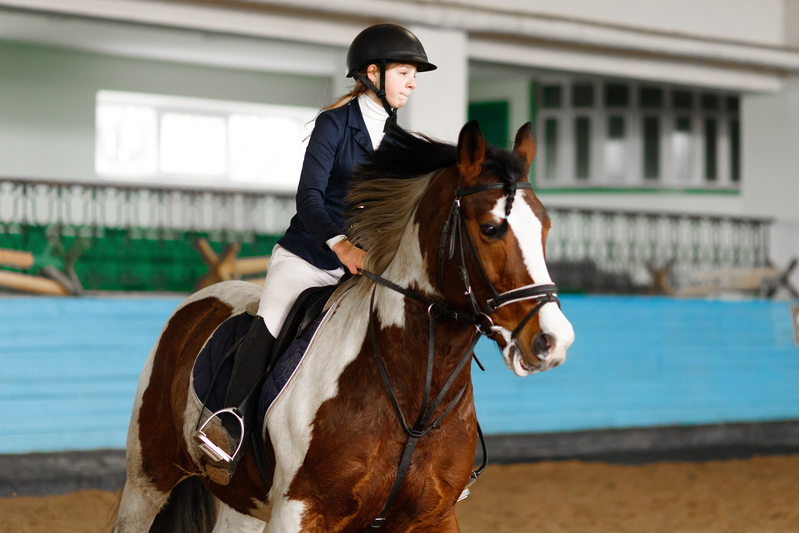 Winter show jumping in «Progress». Kaja | fotograf we Wrocławiu | ludzie i psy