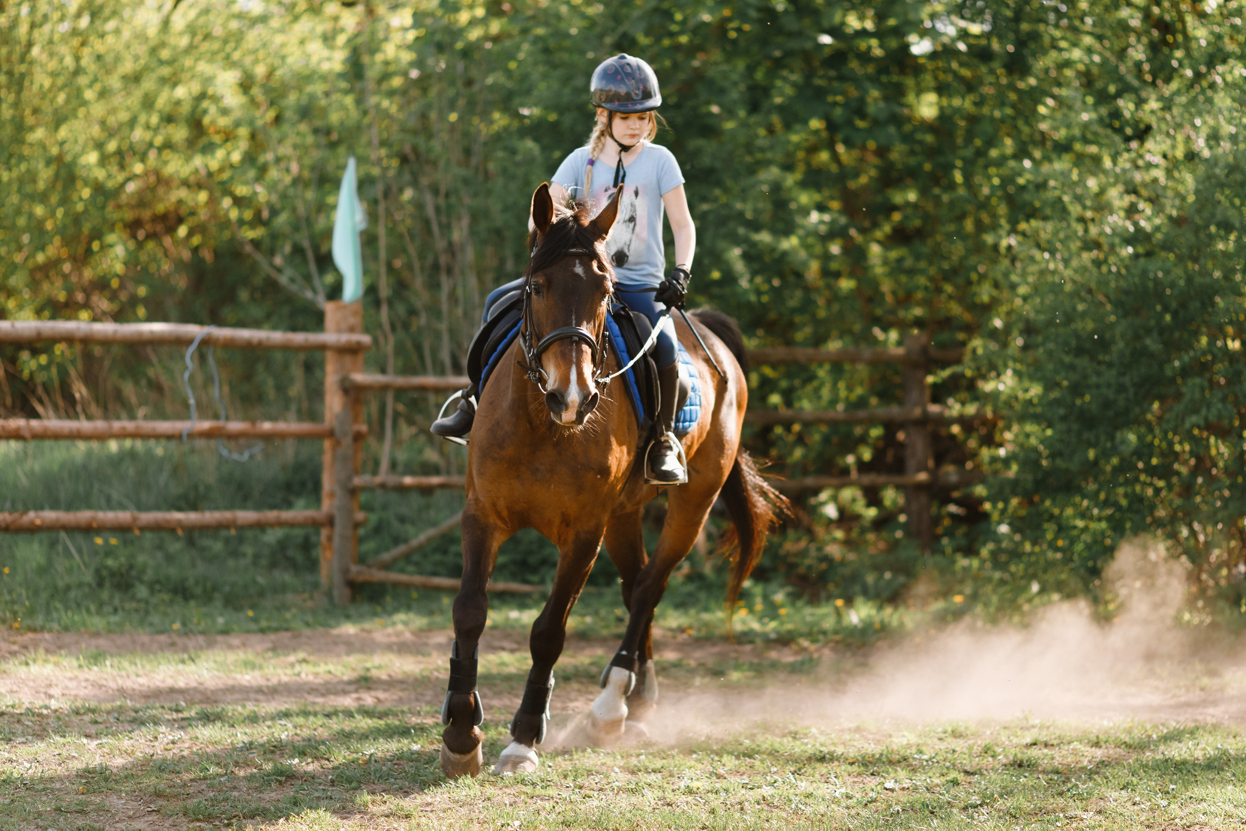 Girls & horses, summer. Kaja | fotograf psów we Wrocławiu