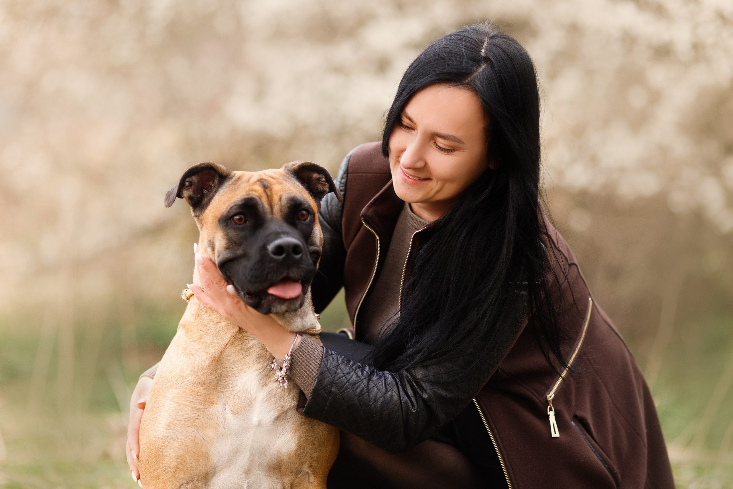Spring ca de bou. Kaja | fotograf psów we Wrocławiu