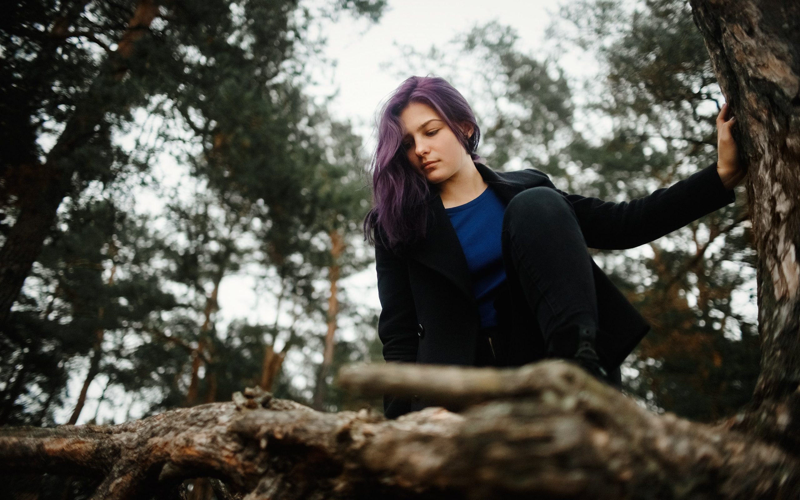 Karina. Kaja | fotograf psów we Wrocławiu