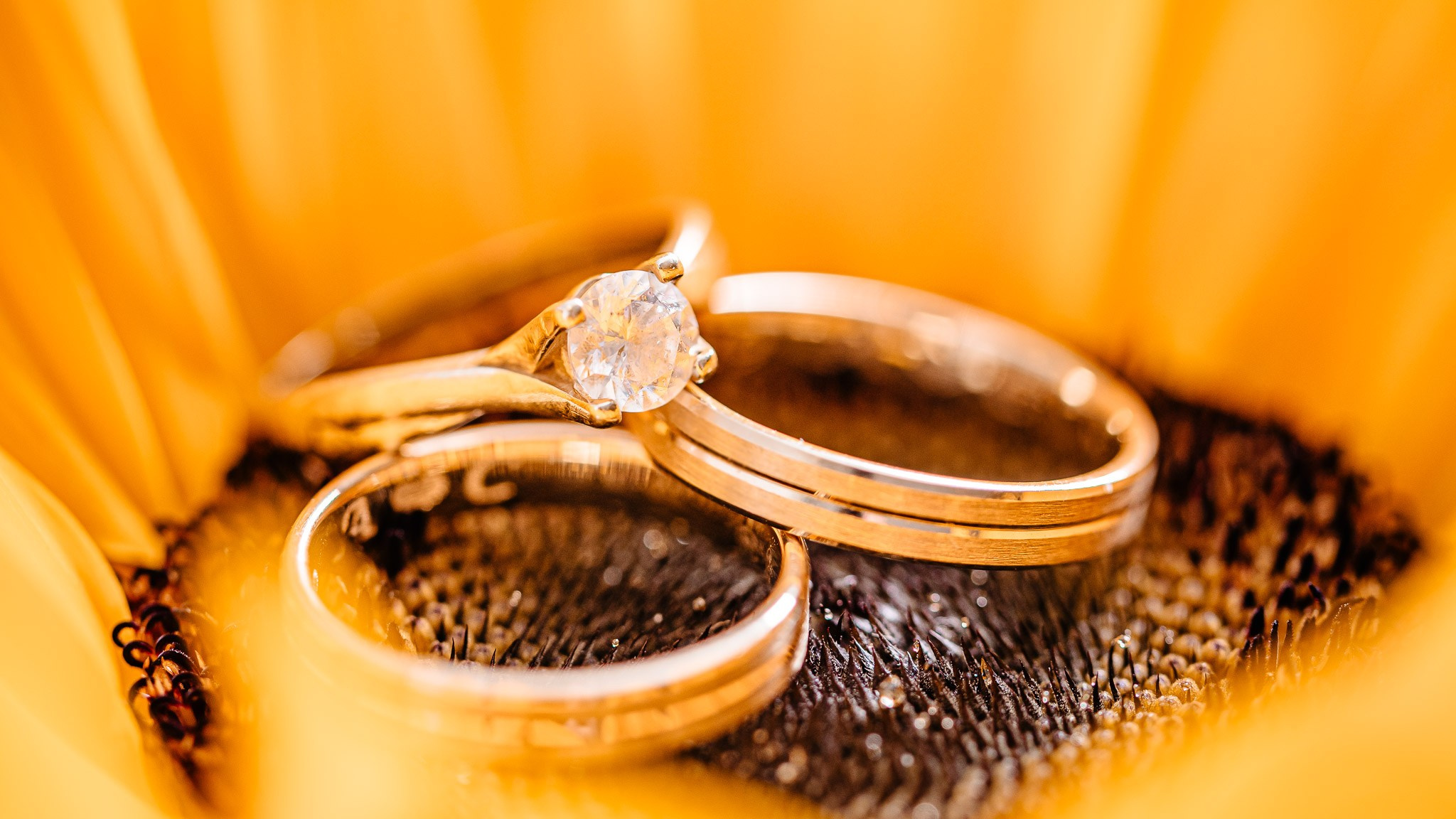 Familia Maerean — 05.10.2024. DanFotograf.dk