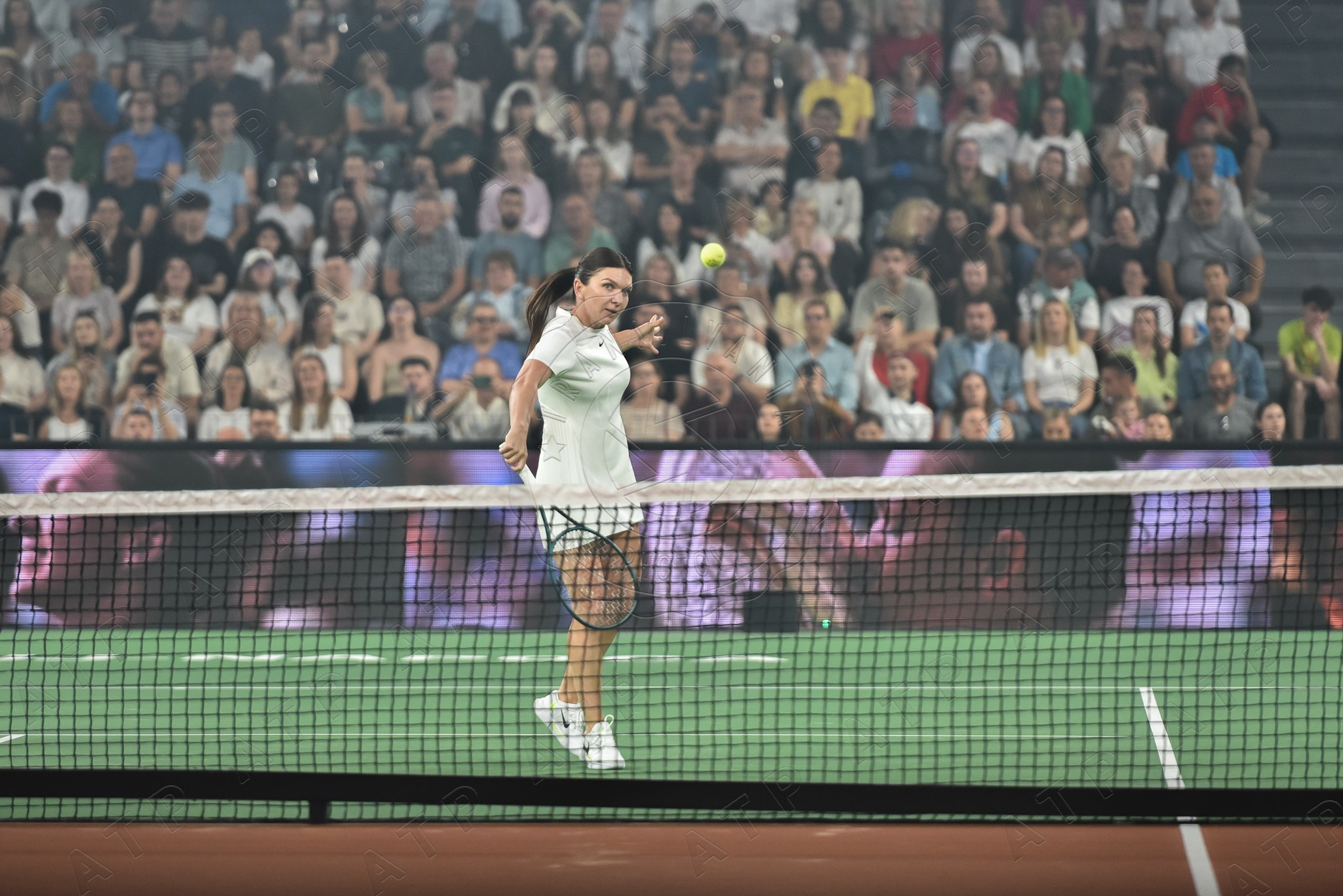 Tenis. Vescan Pictures - fotografie de eveniment