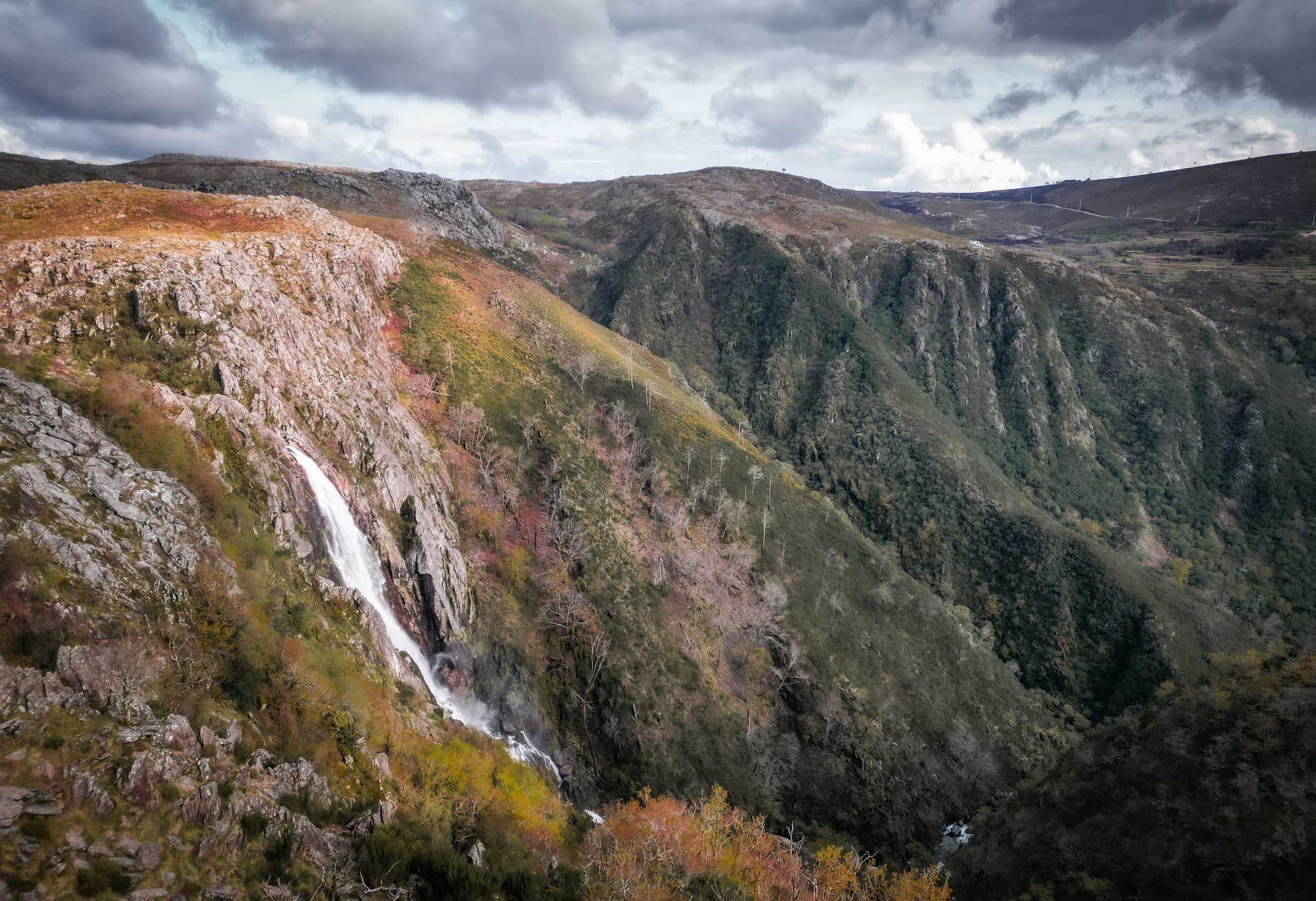 Fotografia de Natureza – Portfólio | Paulo Marques Photography. Paulo Marques Photography
