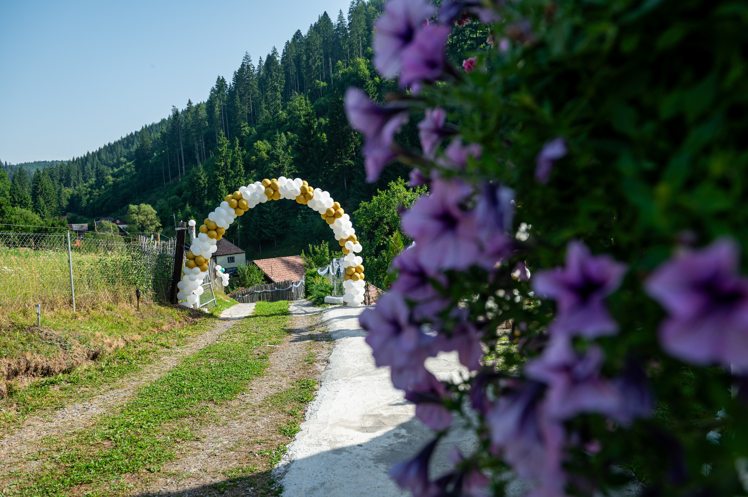 Adrian & Georgiana. EdyArts | Fotograf de Nuntă