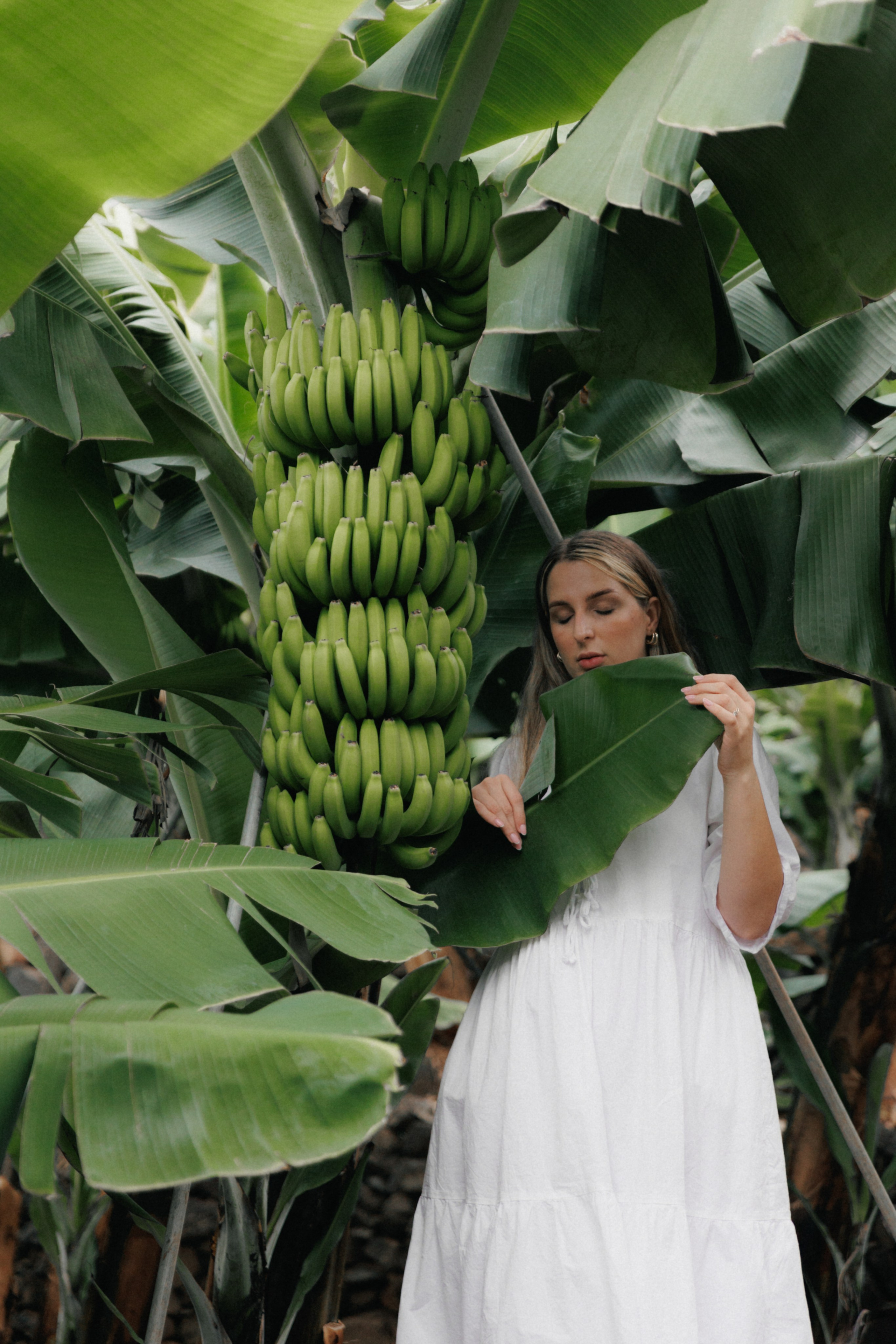 Lost in Madeira. Patricia Morenci — Mountain Adventures for the Wild at Heart