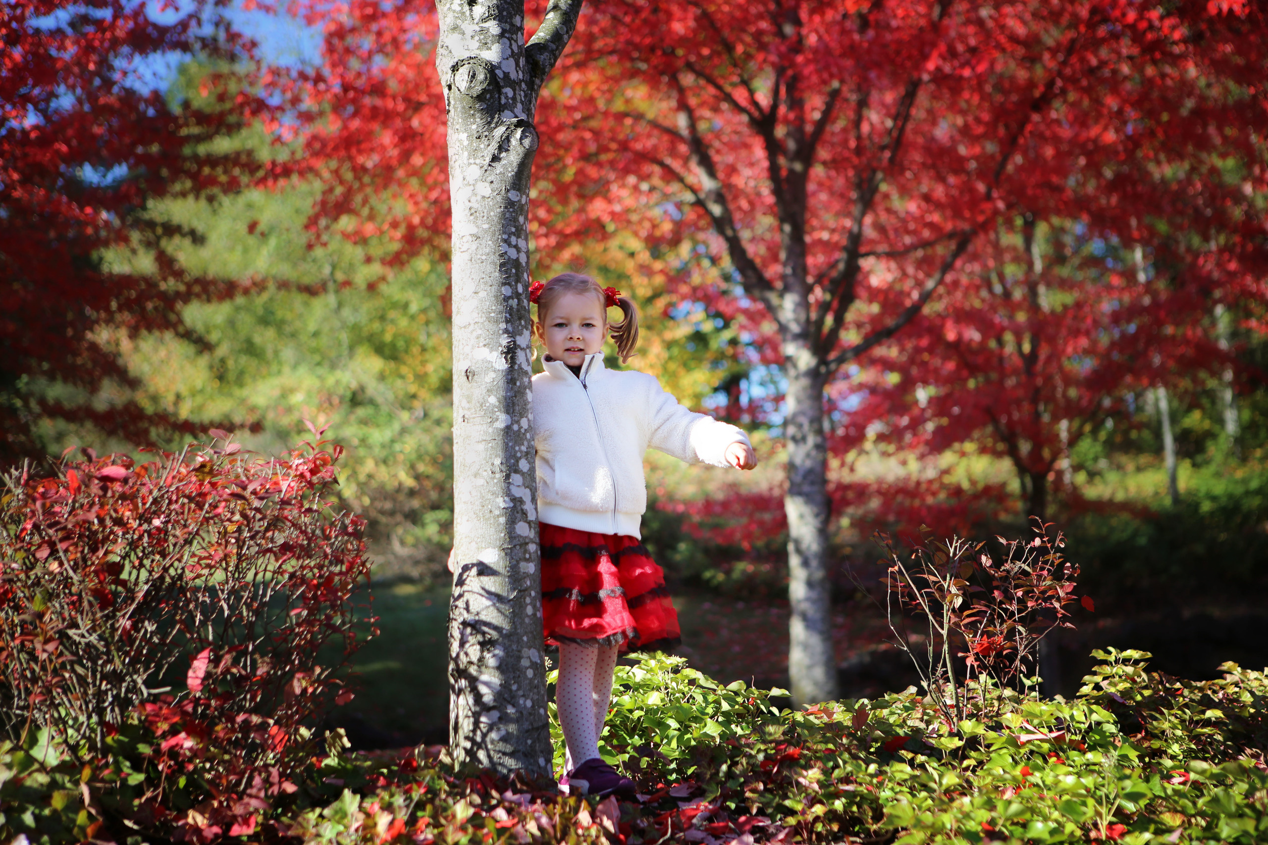 Fall. YuAnna studio. Family & Kids Photographer in Seattle area, located in