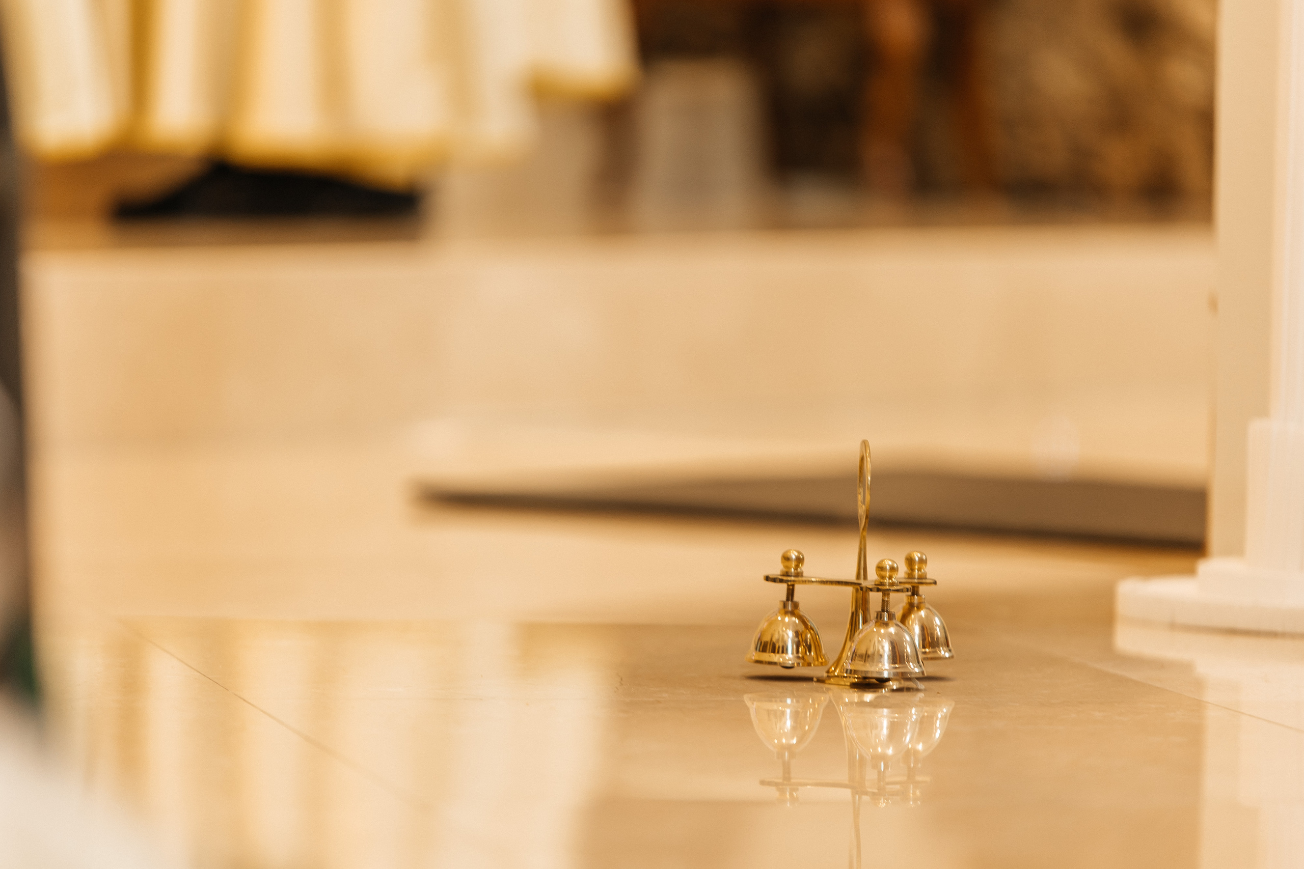 Indian Wedding. My name is Kate and I am family and wedding photographer