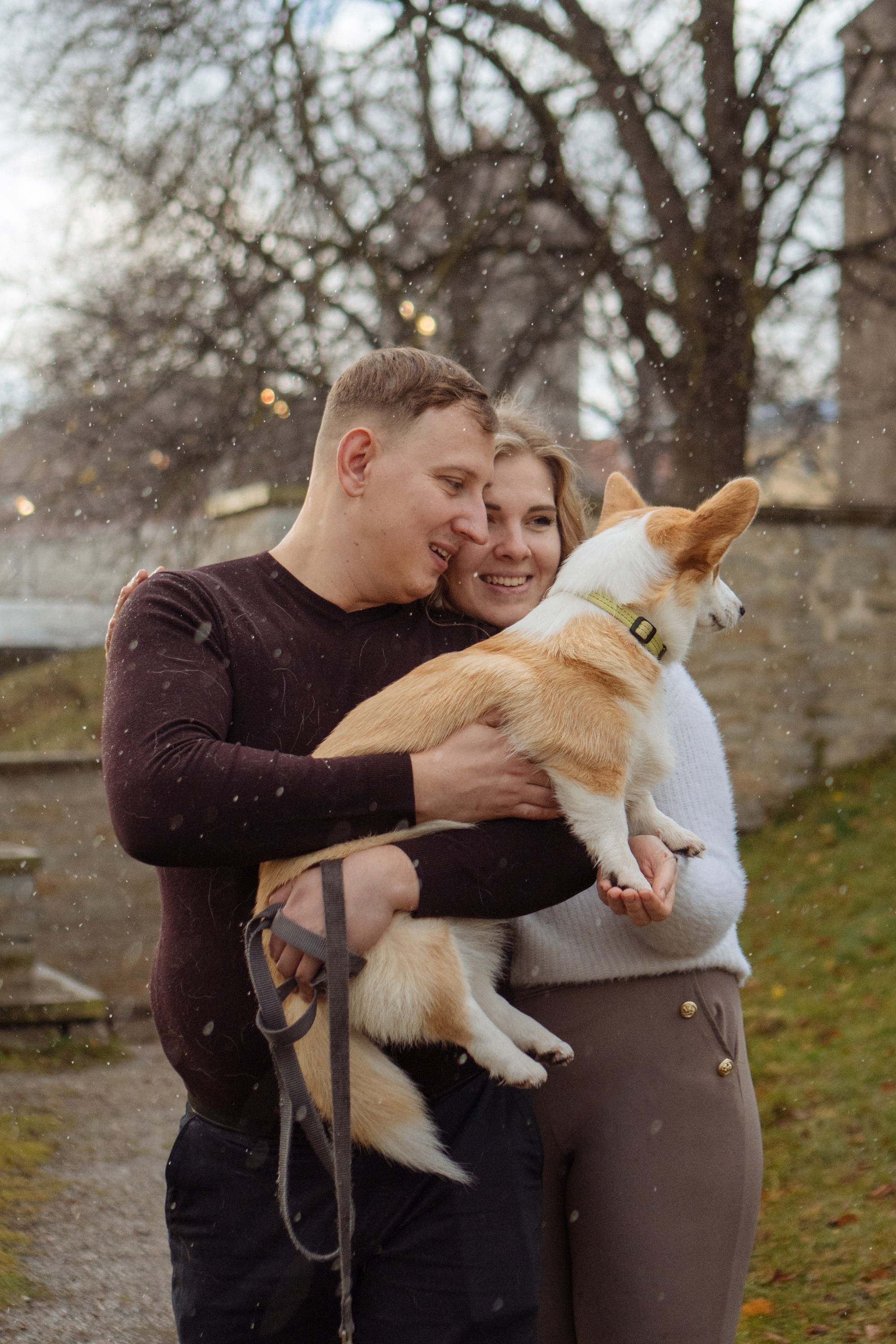 Maarika, Jegor and their Luna, Pembroke Welsh Corgi. Kat Laisaar — Pet photographer in Tallinn