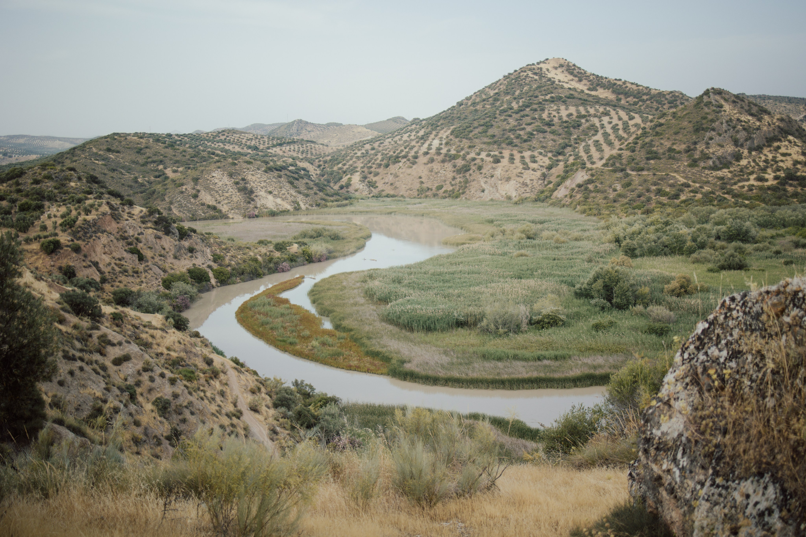 D + AR. Fotografía de bodas en Córdoba
