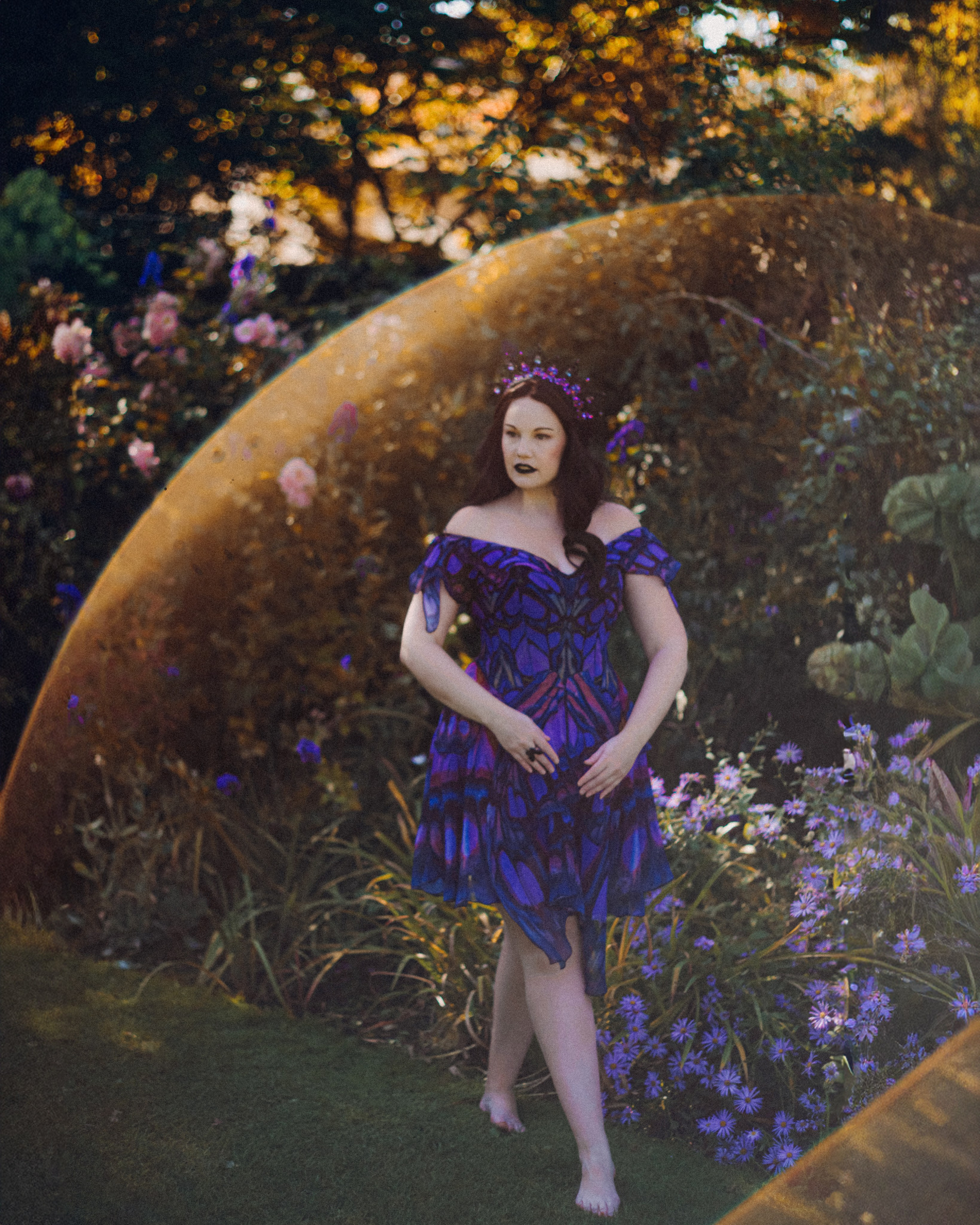 Butterfly purple fairy in a blooming garden. Moth & Moss Photography