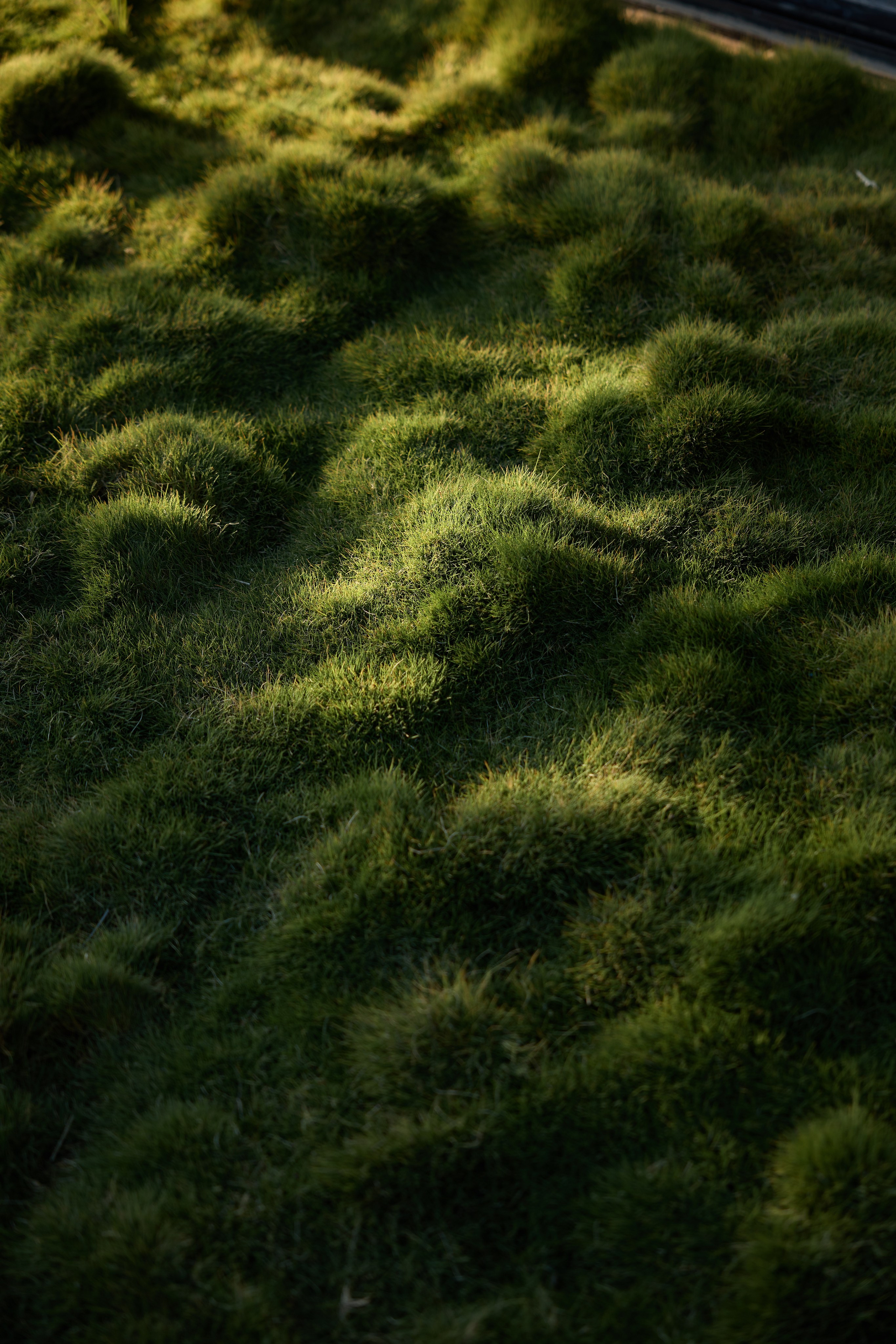 Pardes Hana Project. Интерьерный фотограф и видеограф Израиль