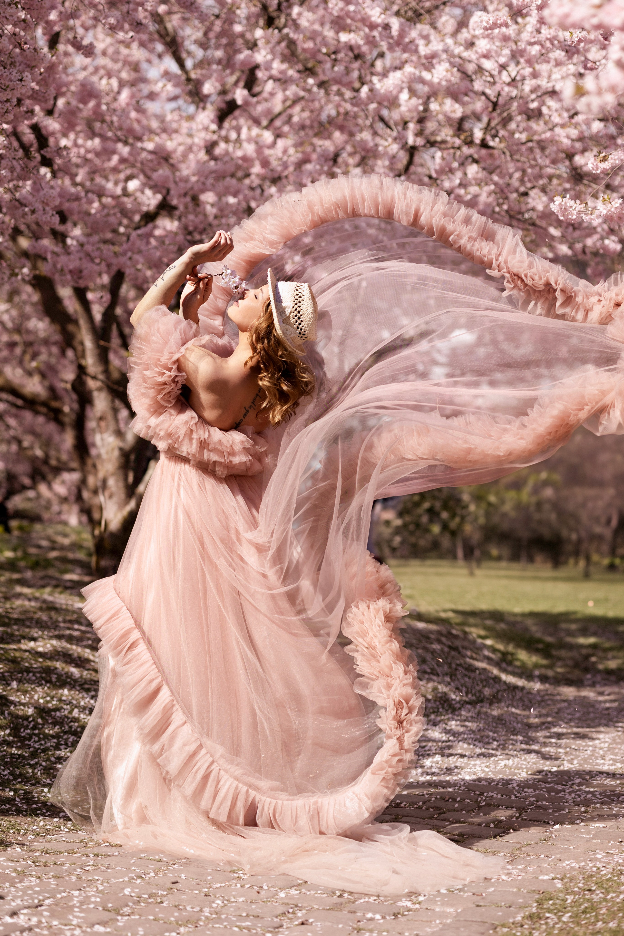 Cherry Blossoms in Munich. Photographer in Munich