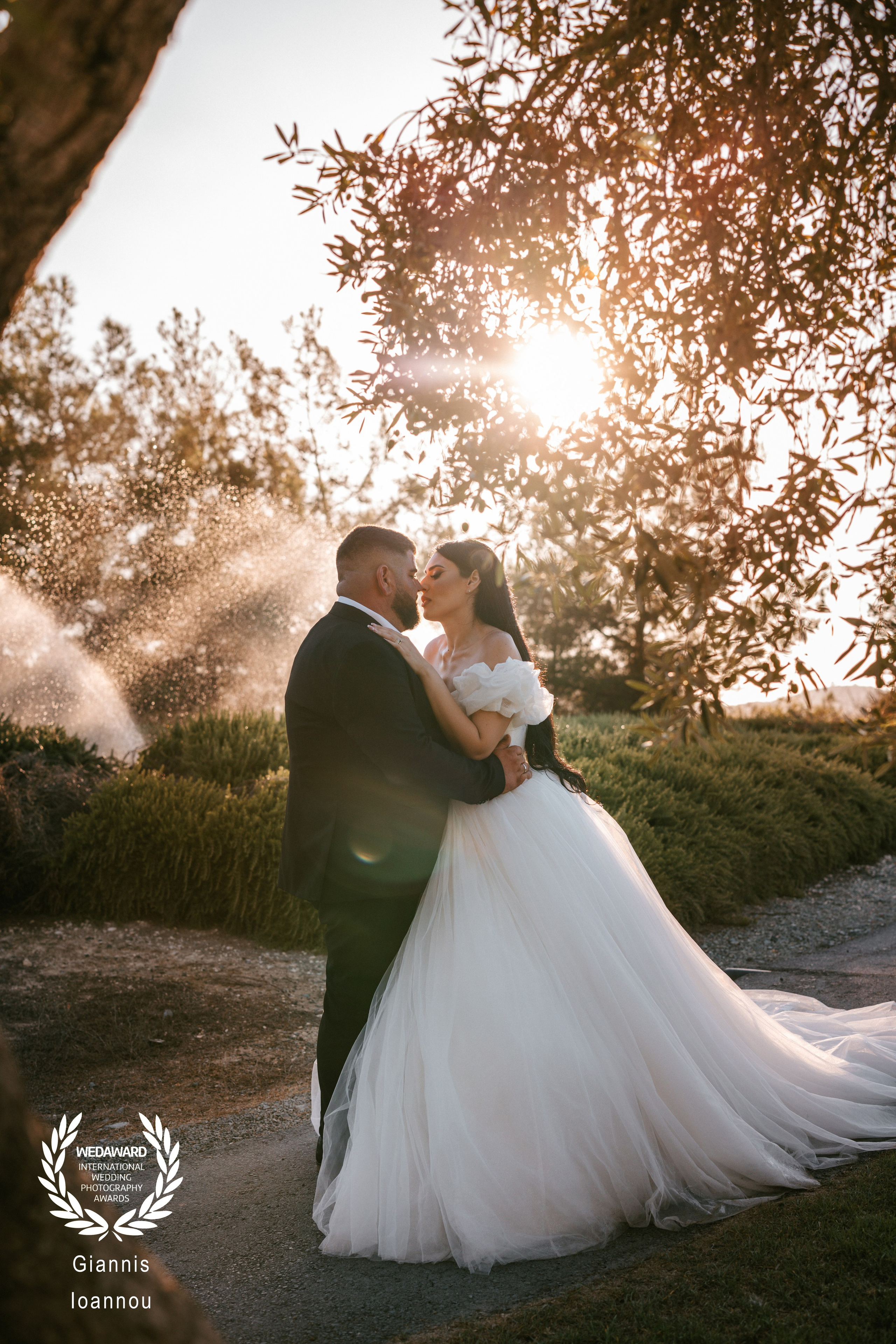 Awards. Giannis Ioannou