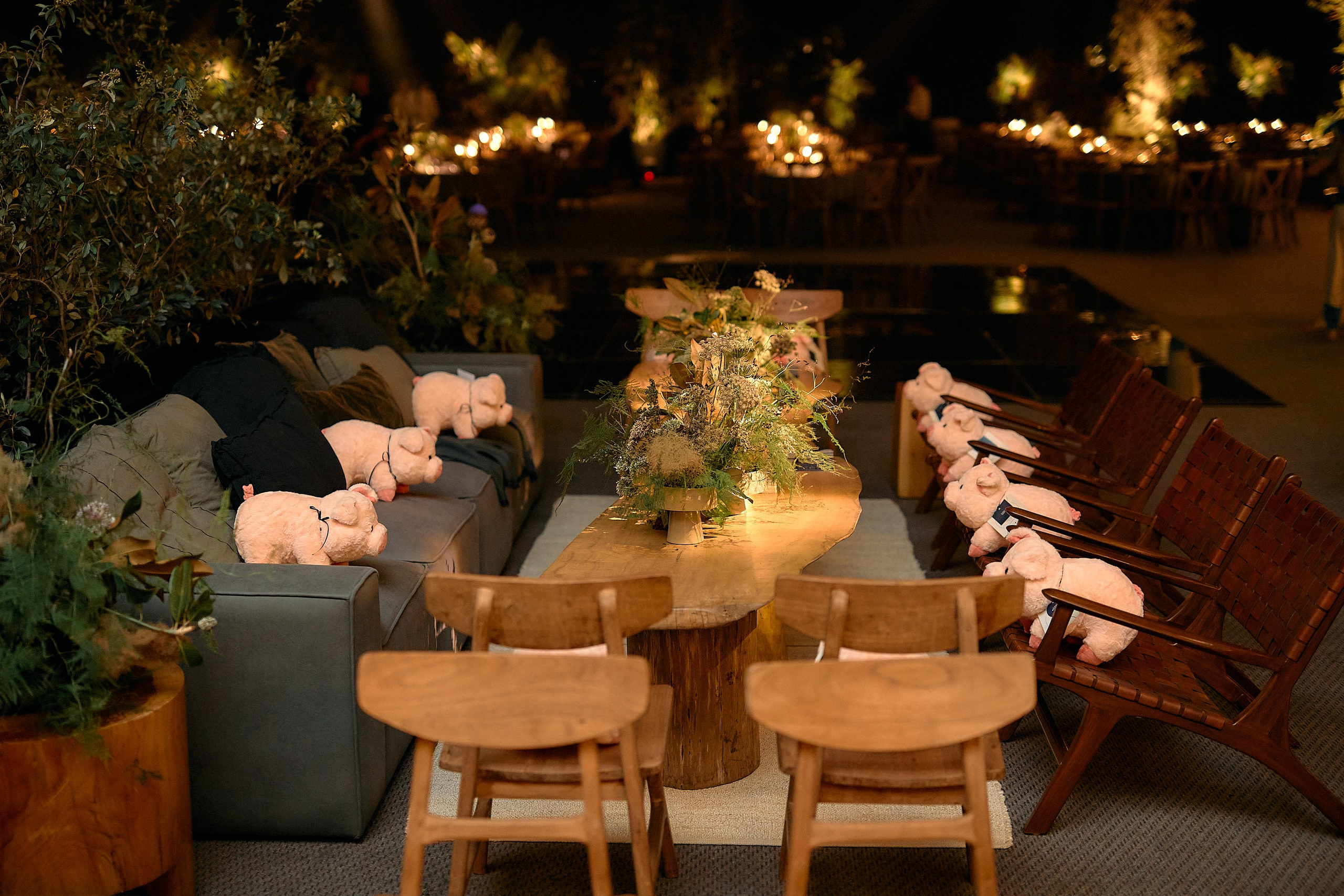 FEDE. Marcos Ferrari Fotógrafo