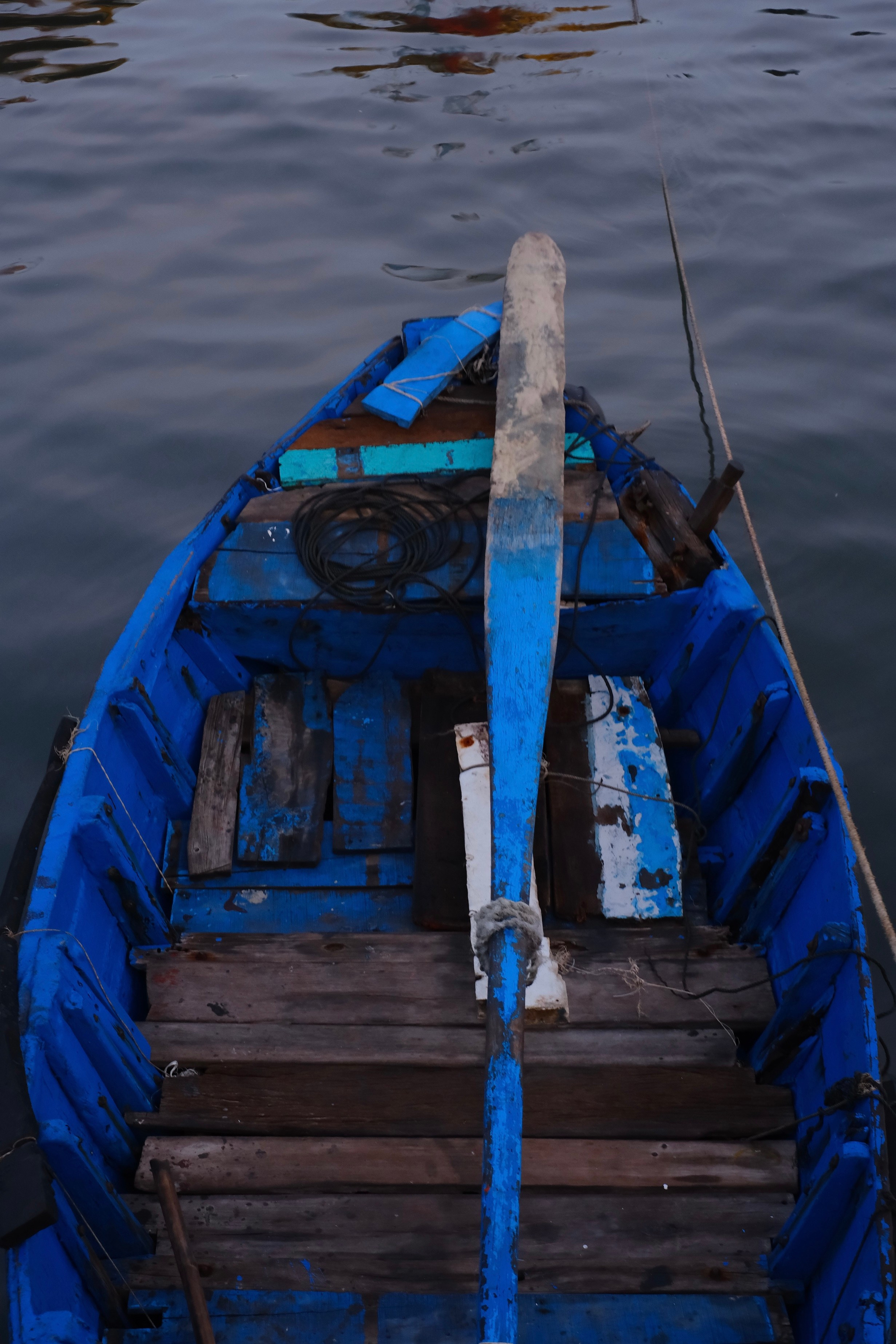 Photography. Fermented Solipsism artist & documentary photographer in California