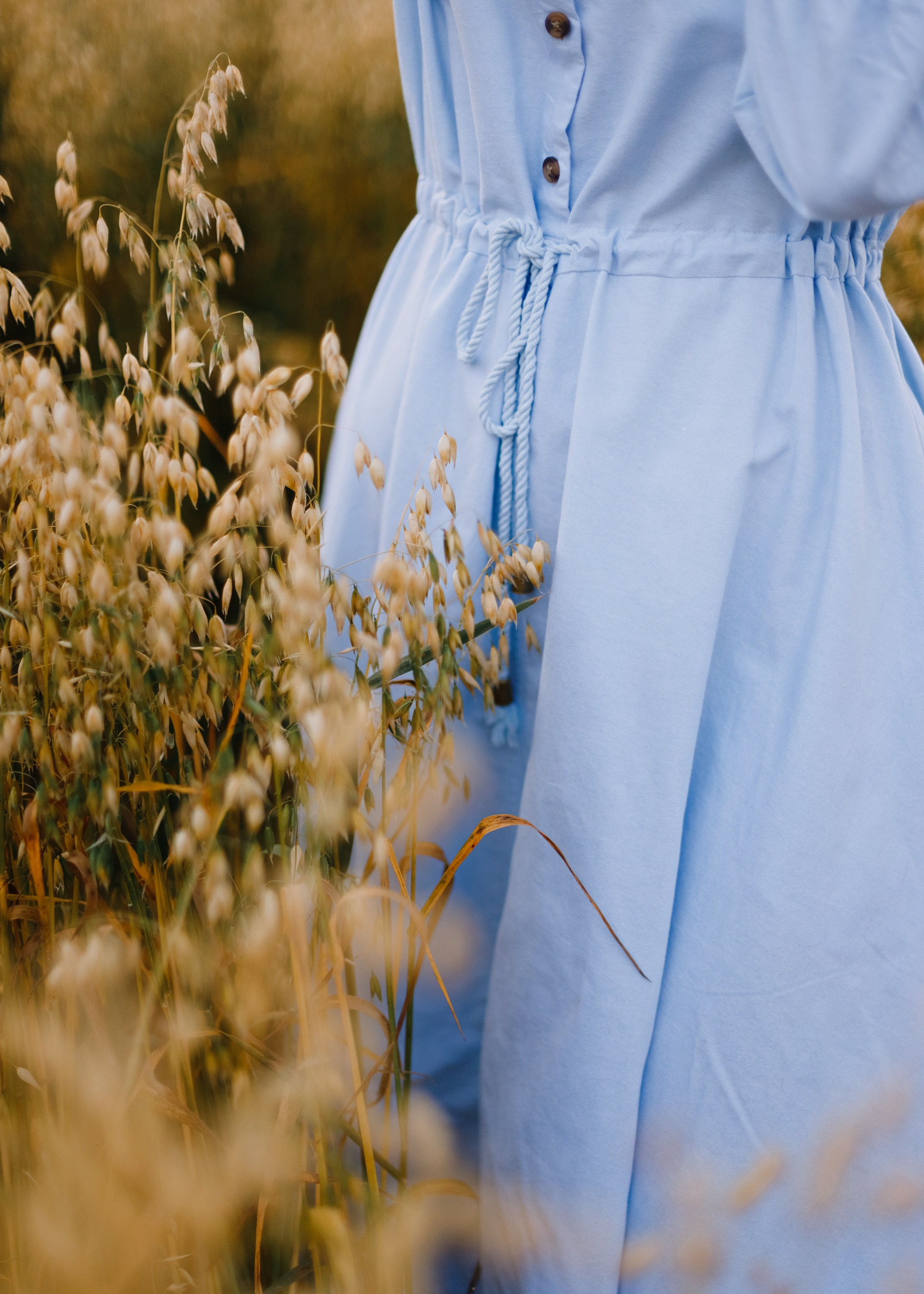 Katya | tenderness in the field. Kaja | fotograf psów we Wrocławiu