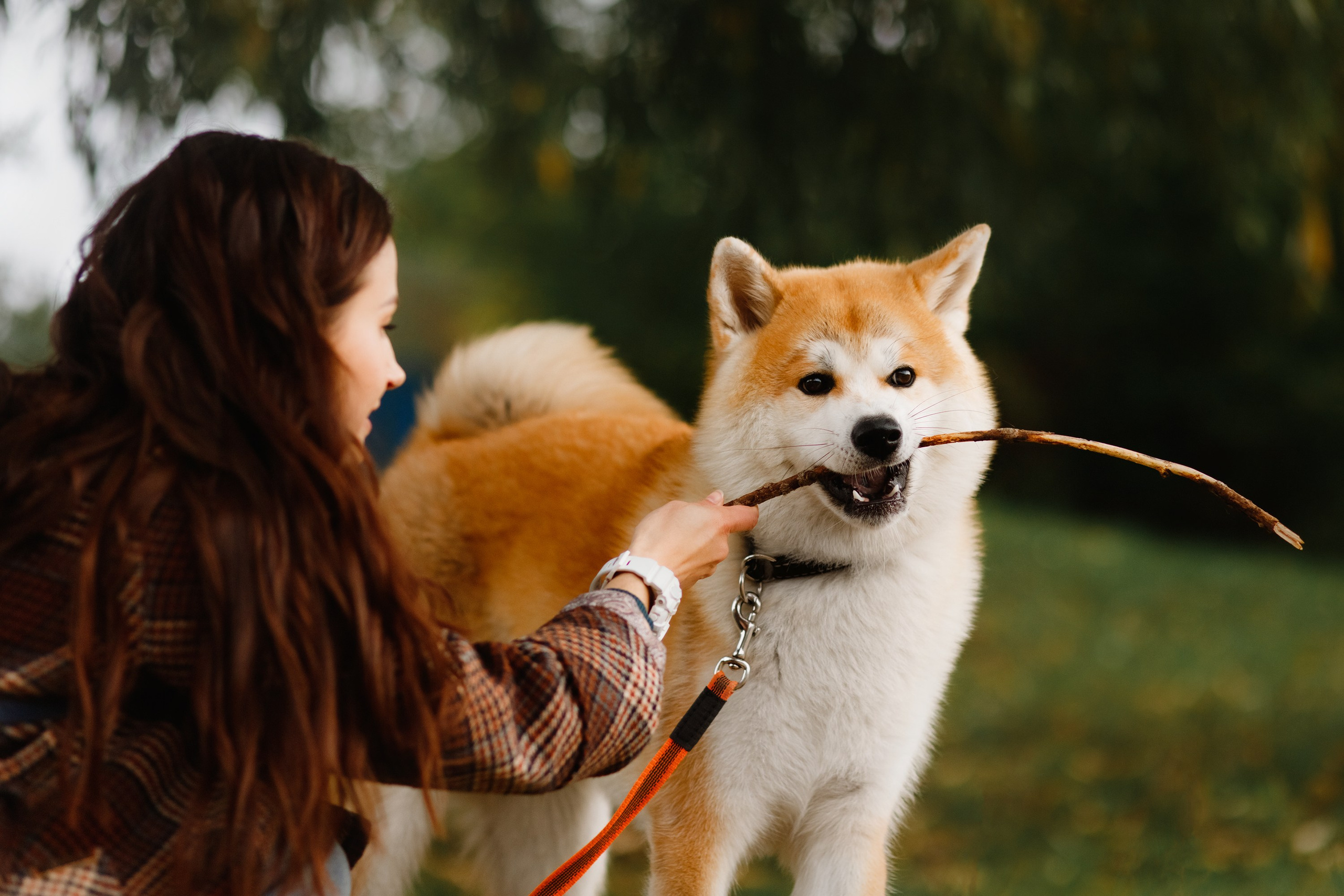 Maria & Kenji. Kaja | fotograf we Wrocławiu | ludzie i psy